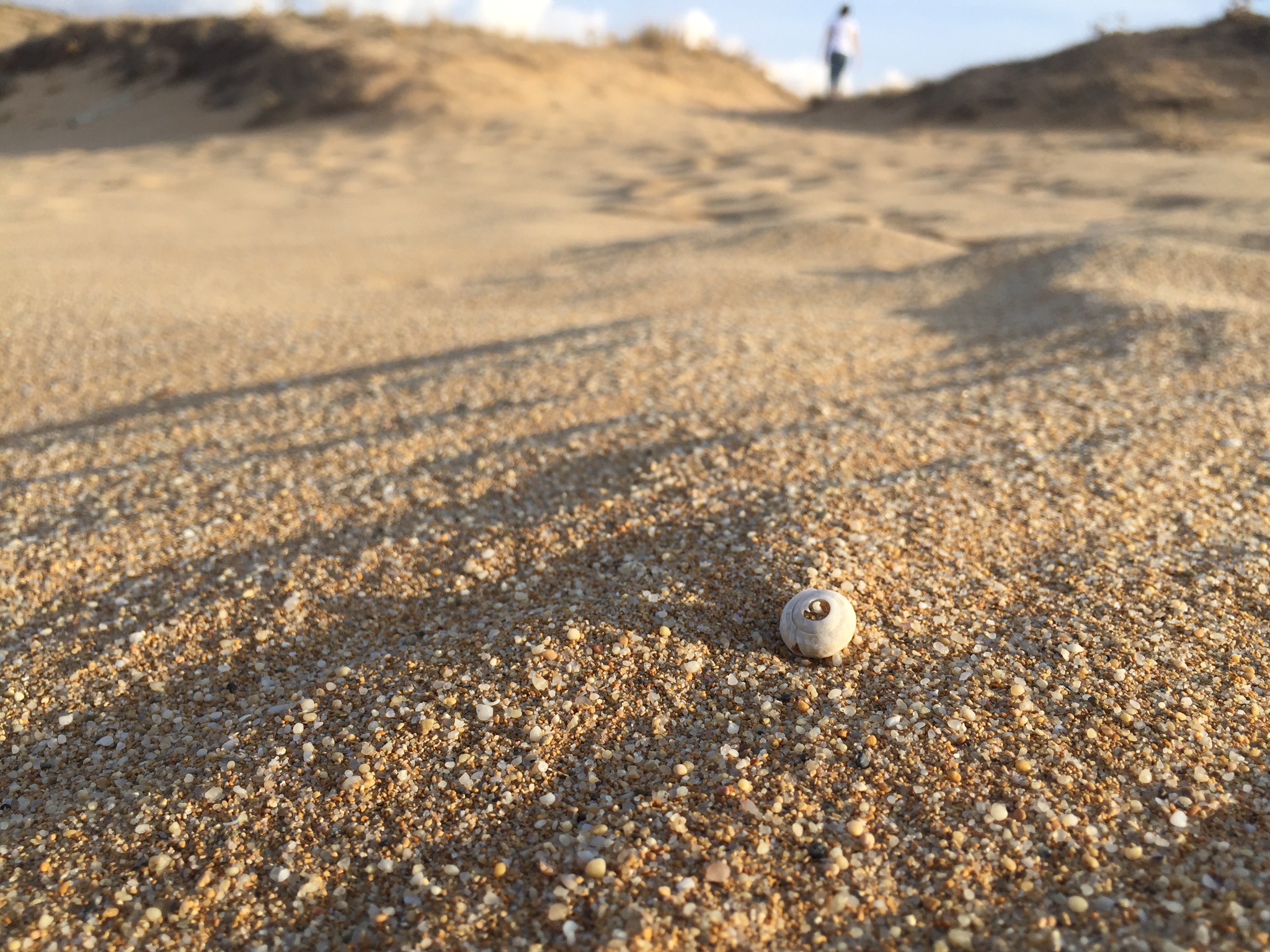 The sea is not made of only water ..