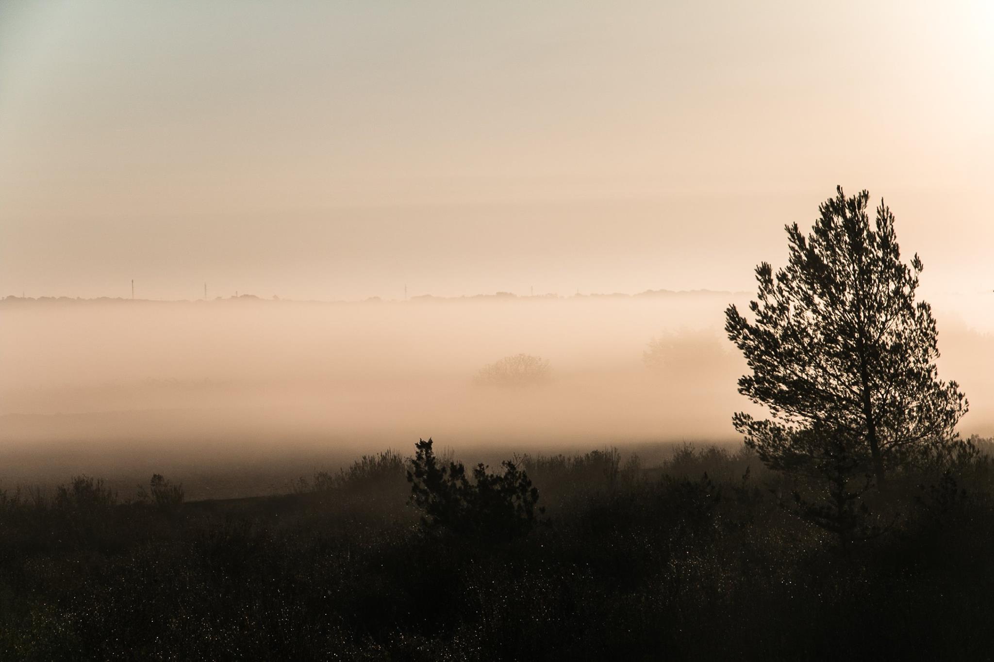 In the morning in Formentera