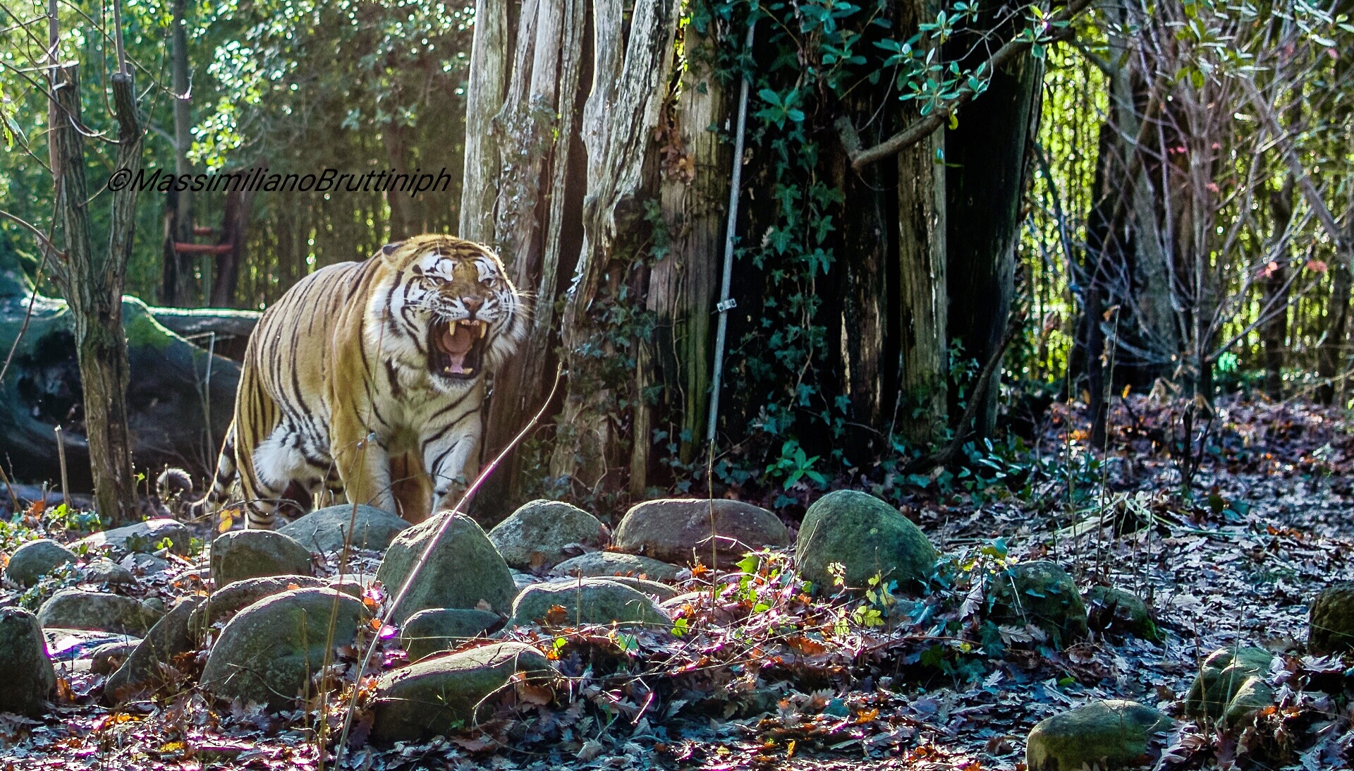 Difesa del territorio