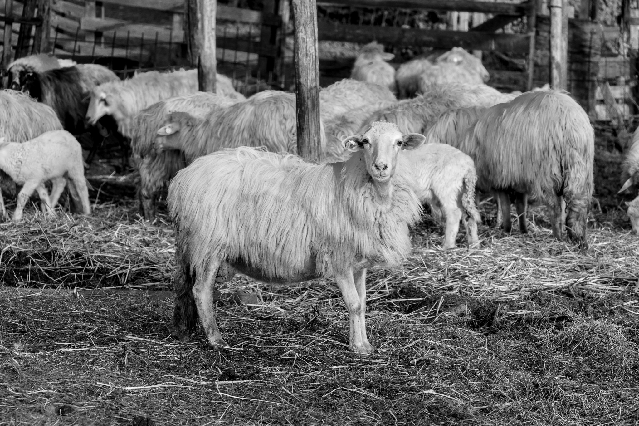 Ready for the Easter