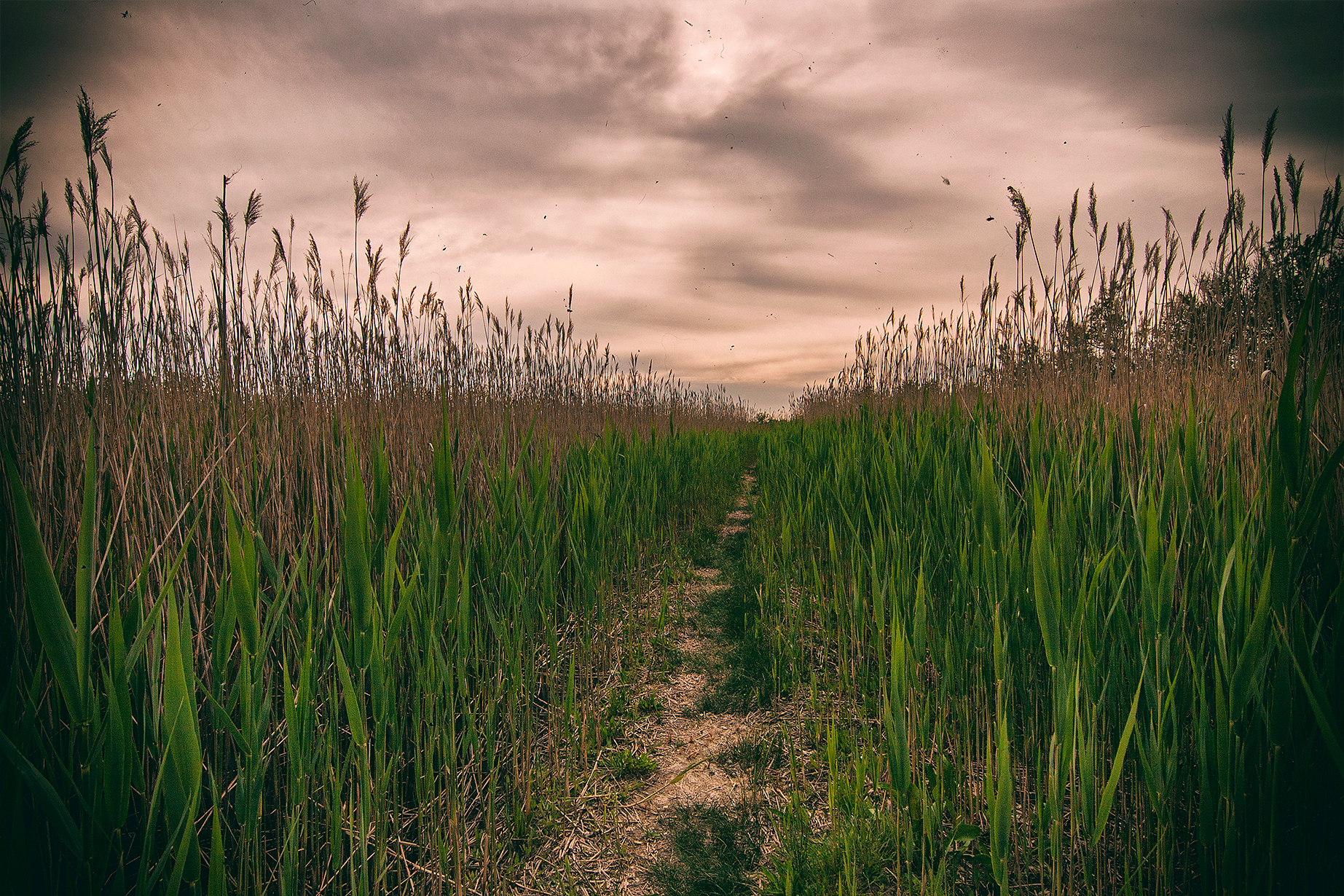 the way to the unknown