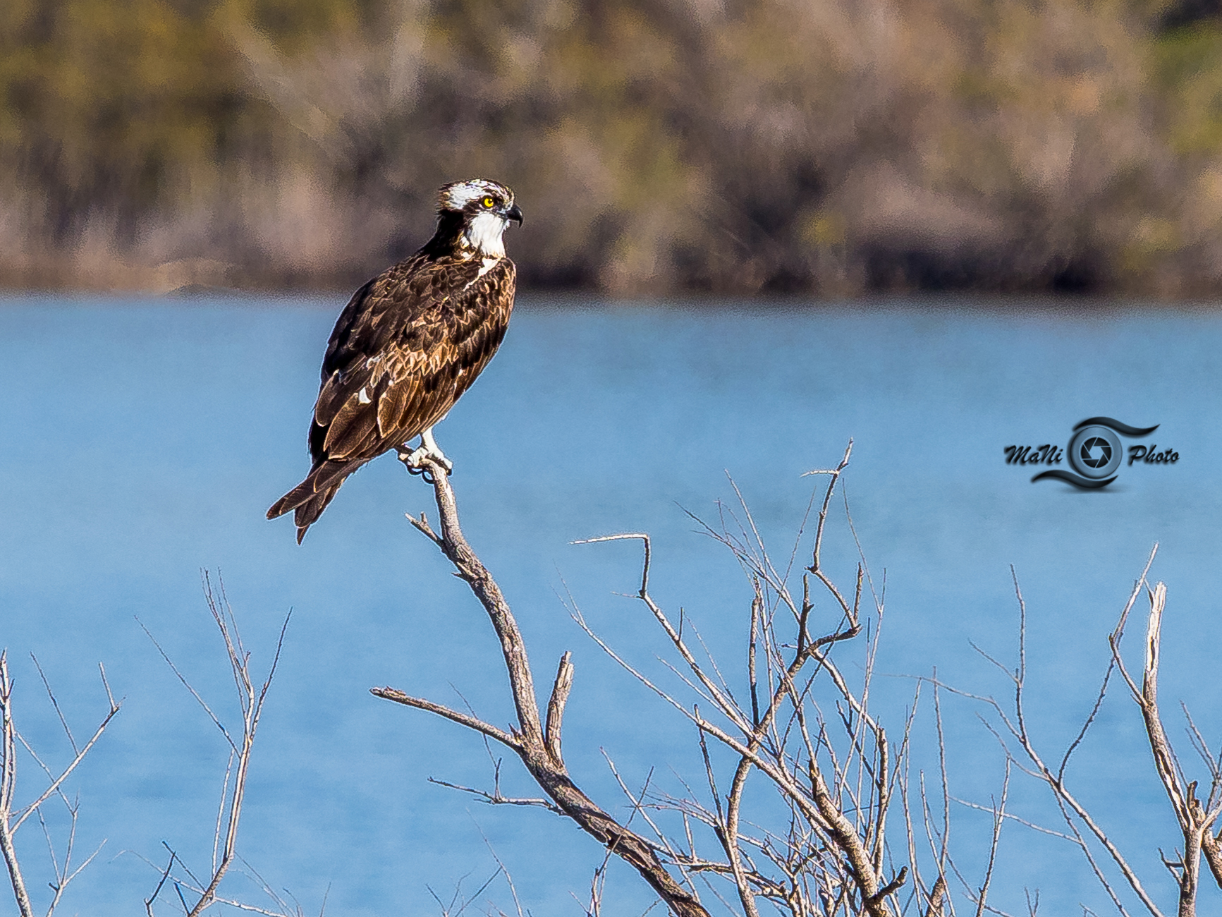 Priolo Nature Reserve