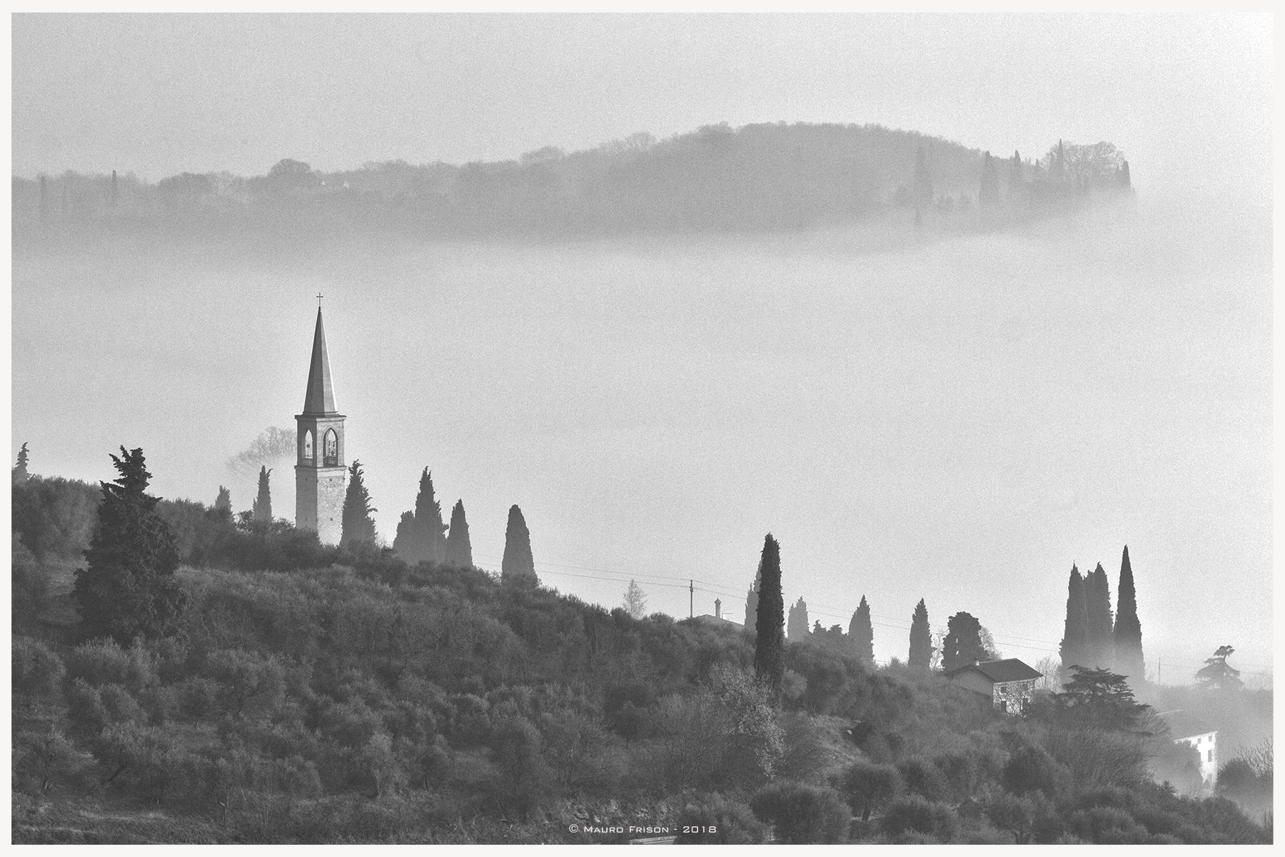 At the edge of the ... fog