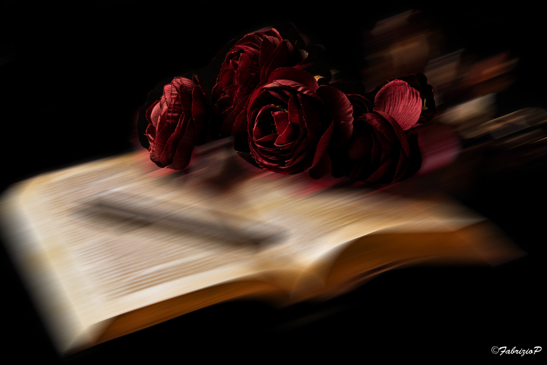 The book I have never written