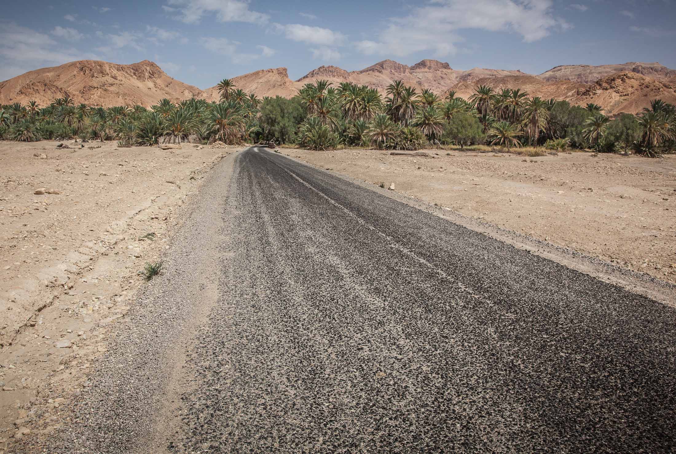 Arrivo all'oasi di Chbika