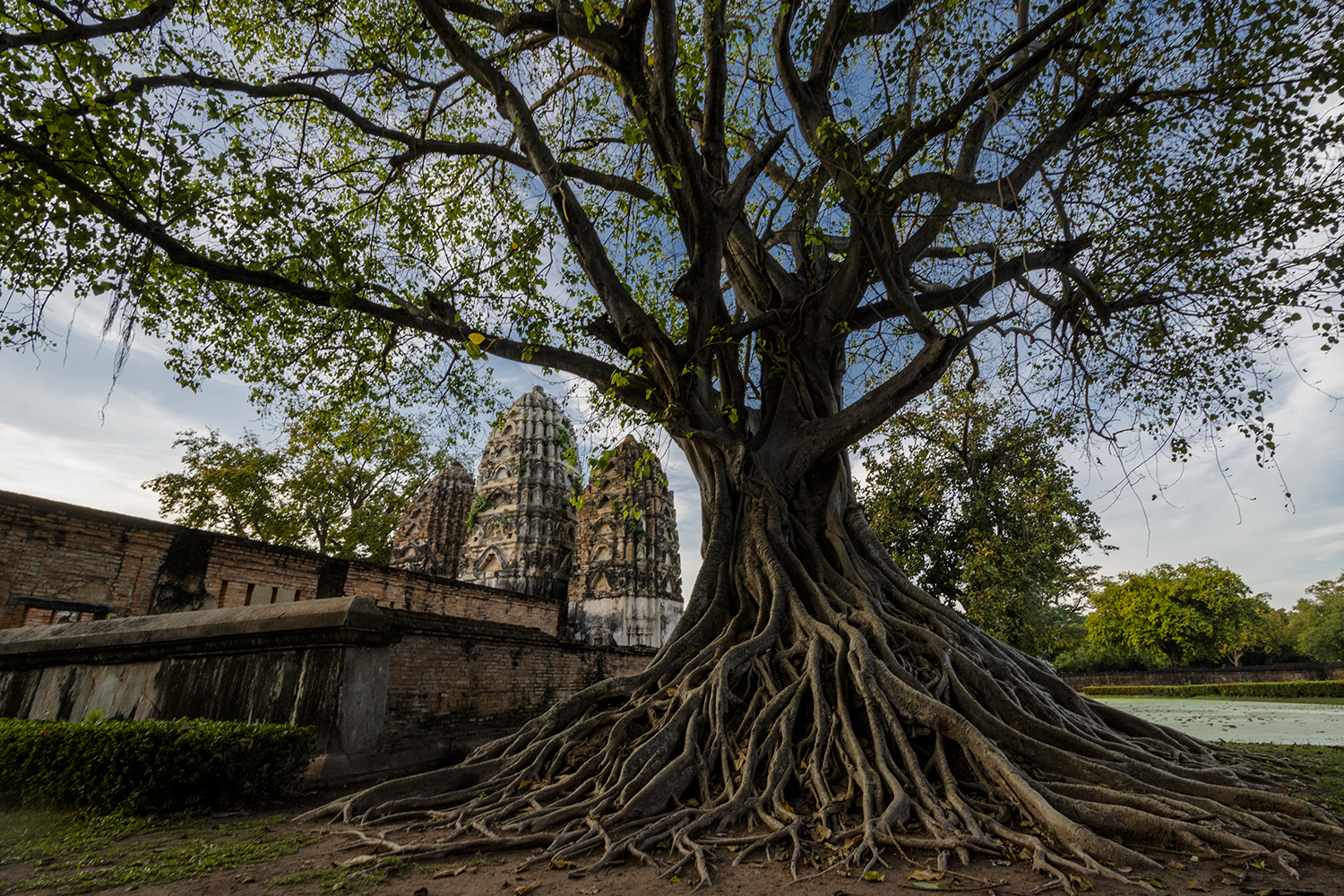 Wat Si Sawai temple