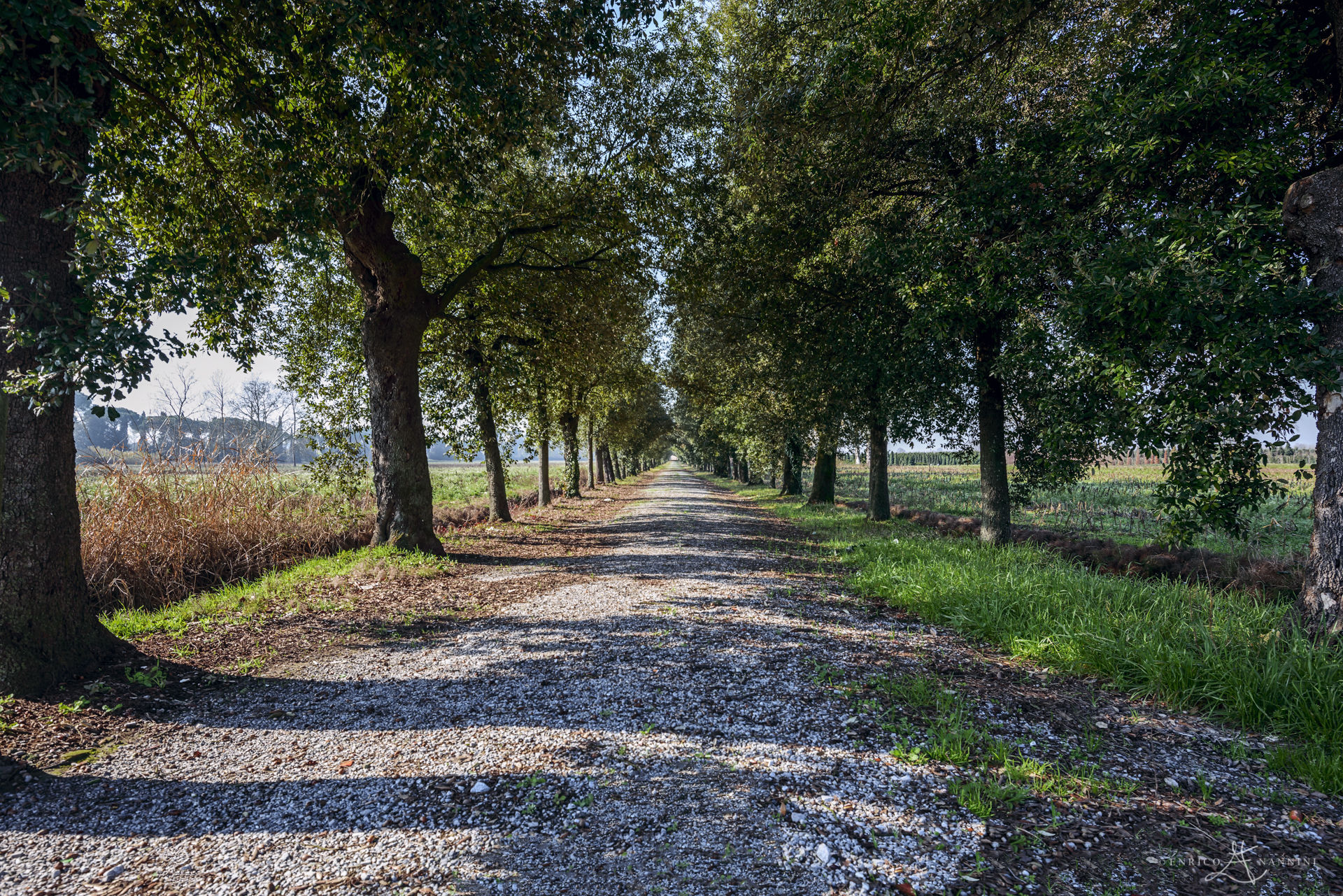 Viale Villa Banchieri