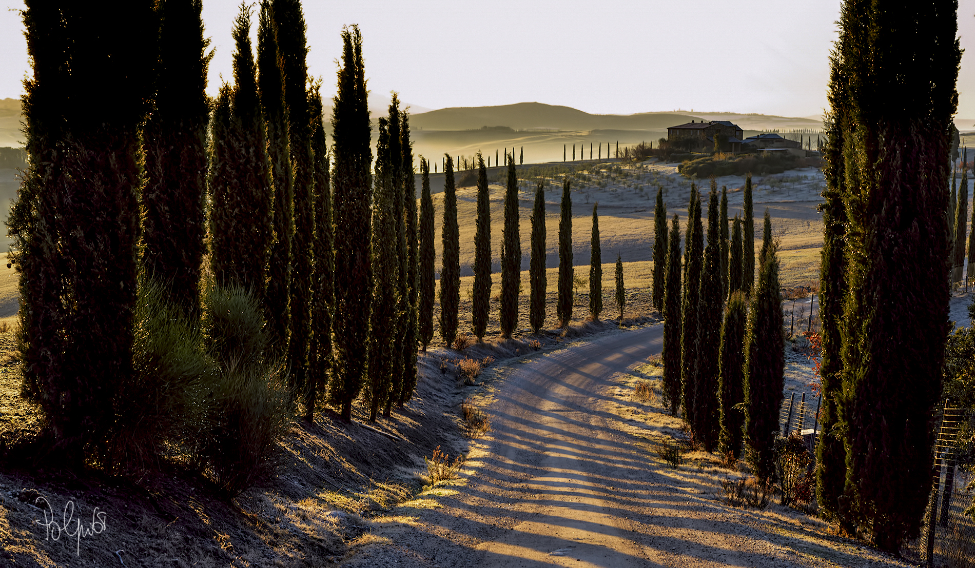 The Guardians of the white roads