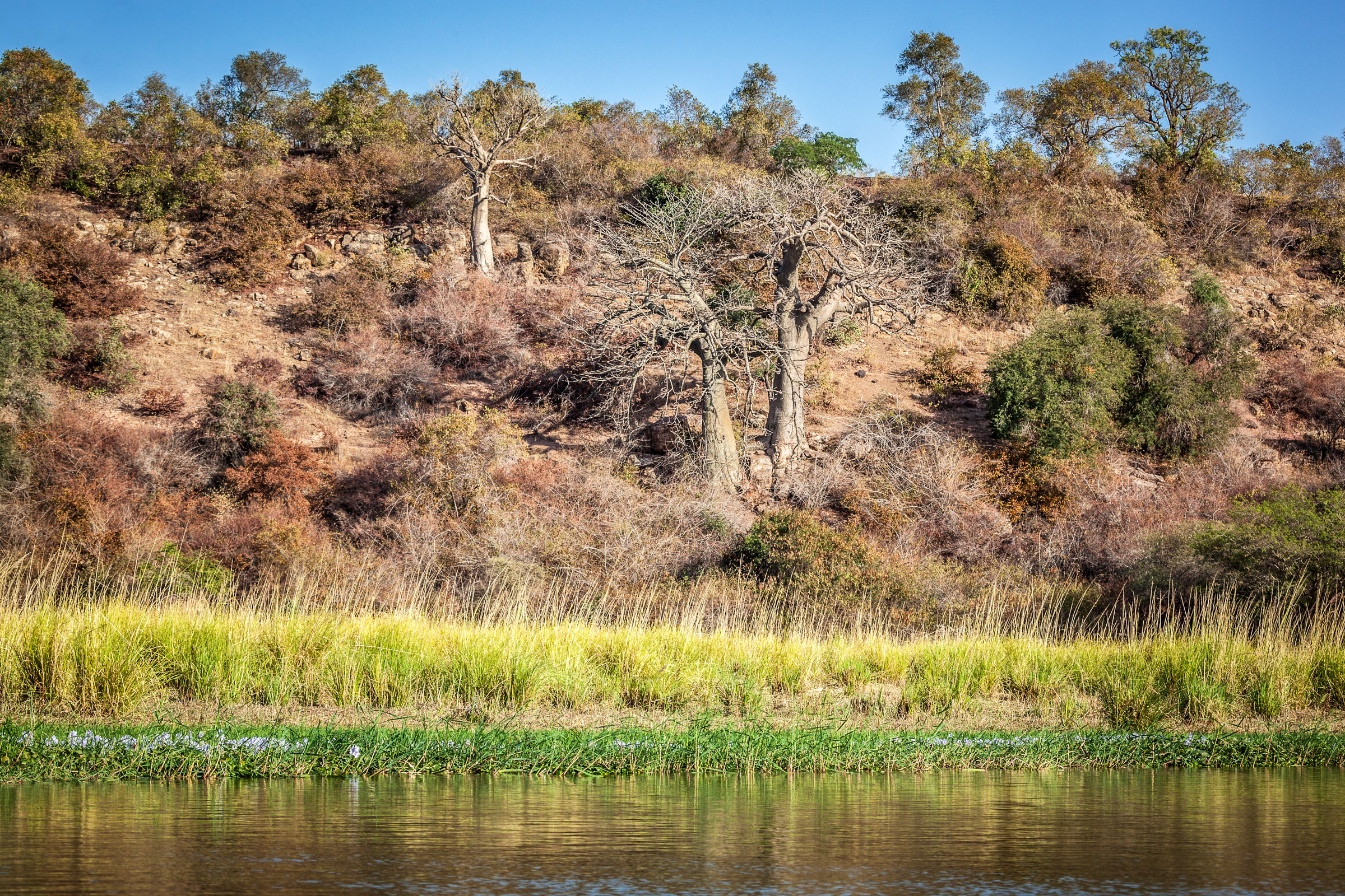 W Park by the Niger River