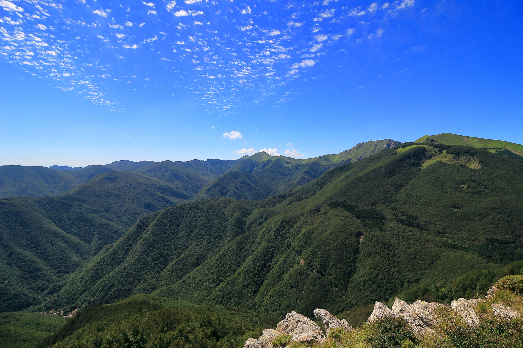 The great forest of the Corno alle Scale