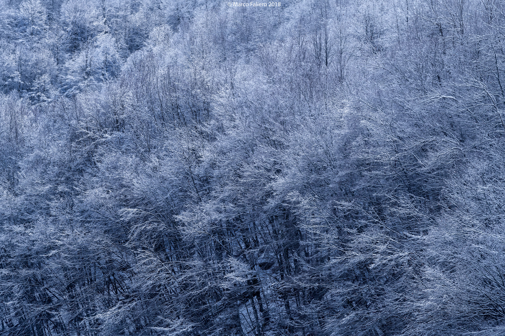 Winter Poetry - Poetry in winter