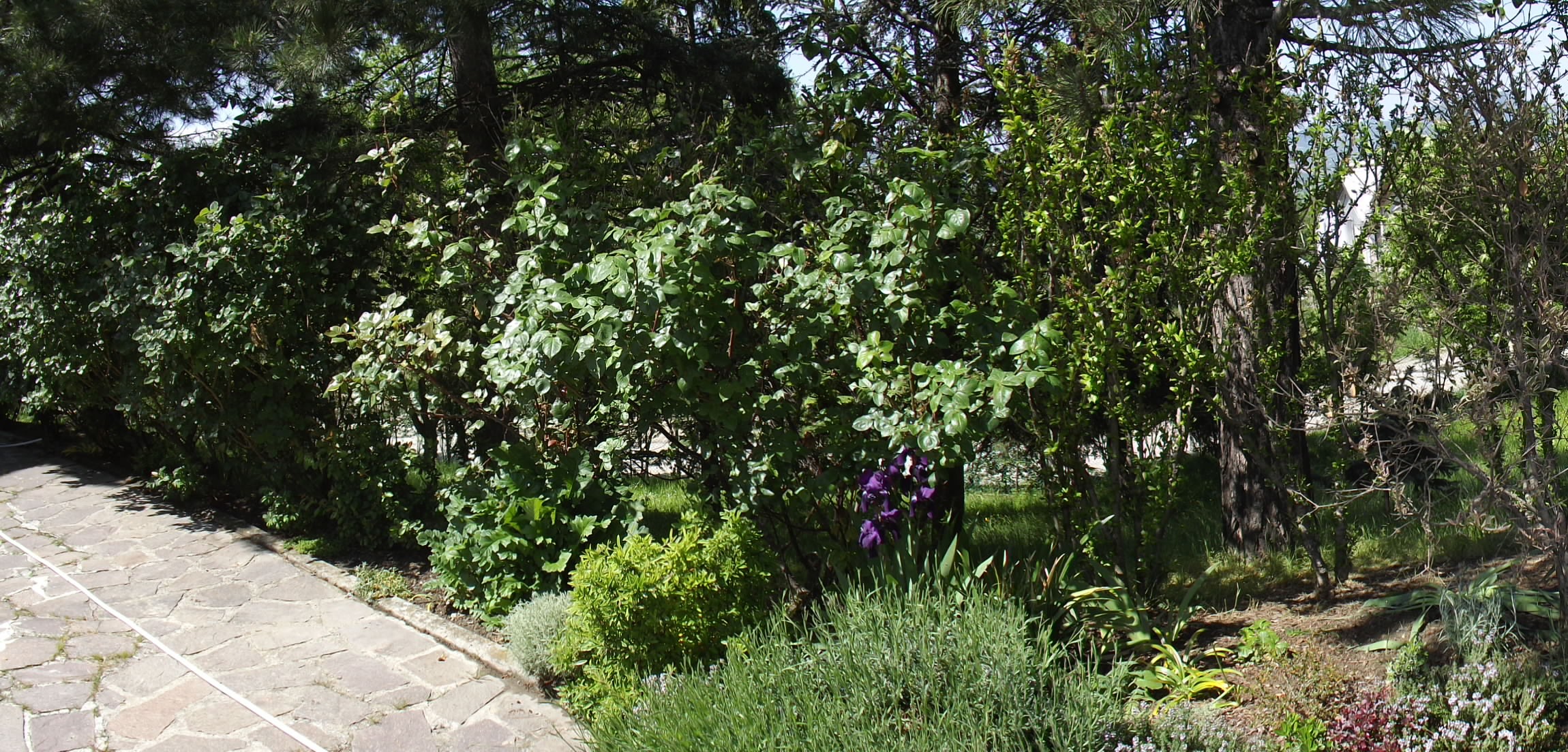 Valbucciana - Villa Minozzo 14/5/2012