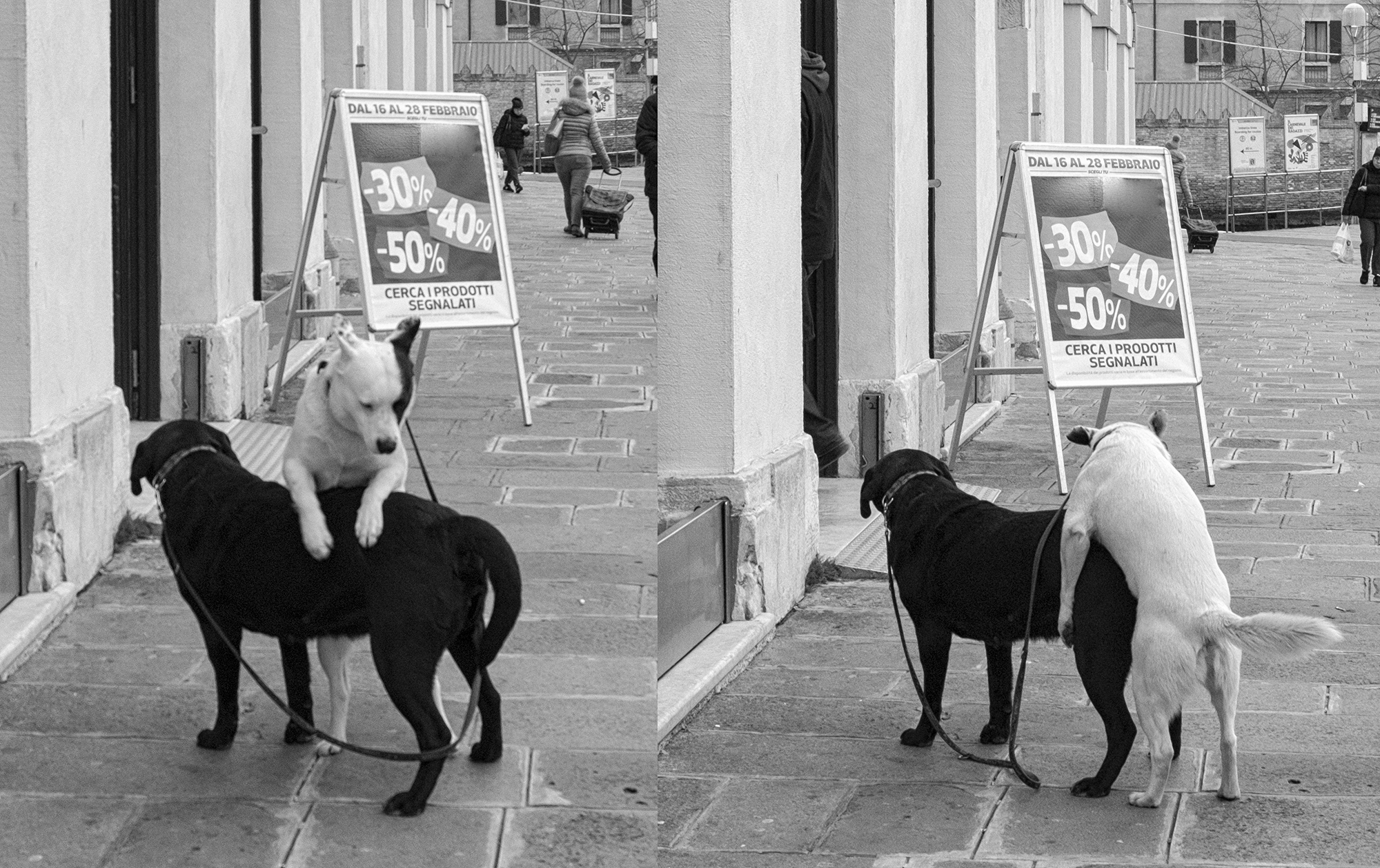 Review the approach ...