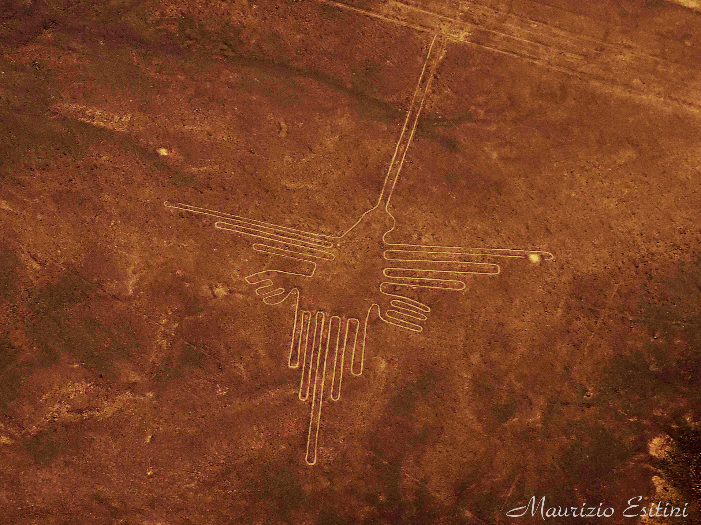 Le linee di Nazca - il colibrì