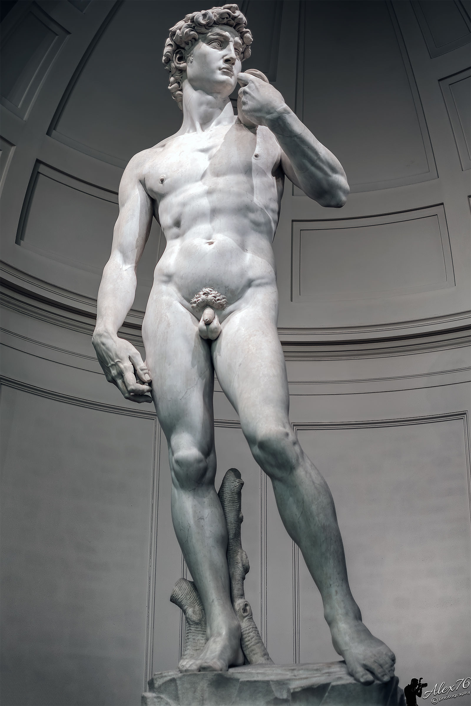 Il David di Michelangelo (Galleria dell'Accademia)