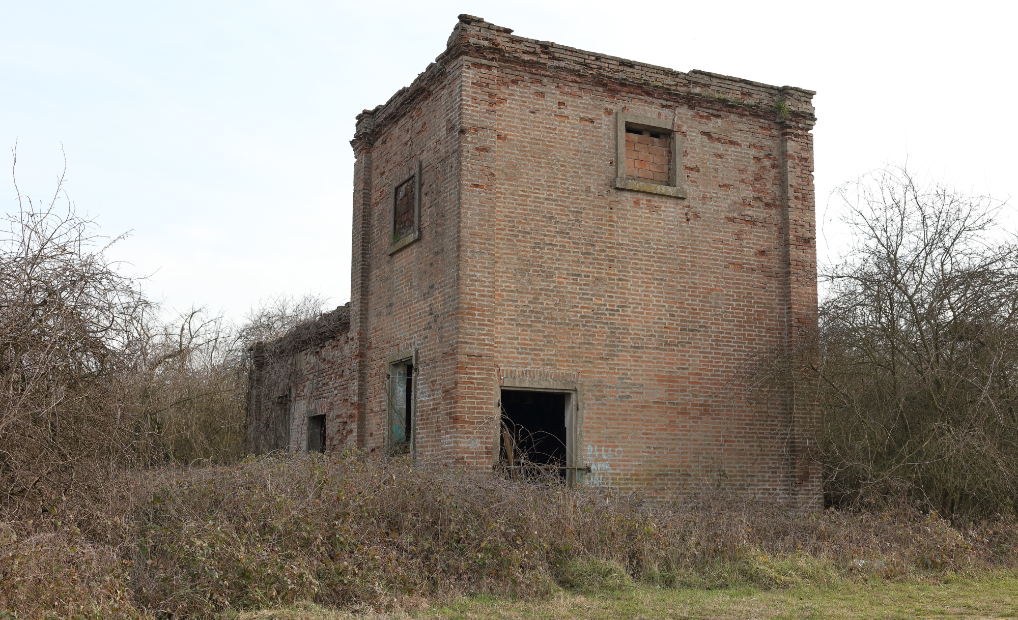 Foto scattata nel Febbraio 2018.