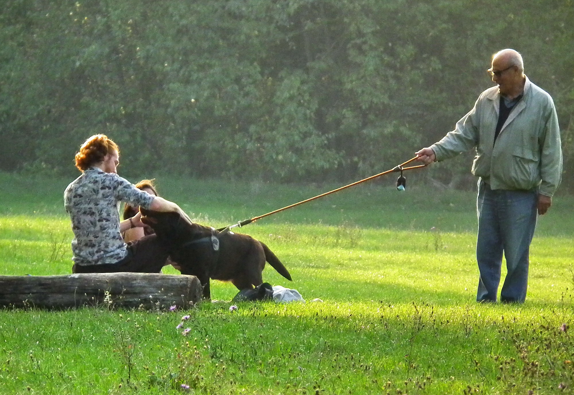 socialize in the park