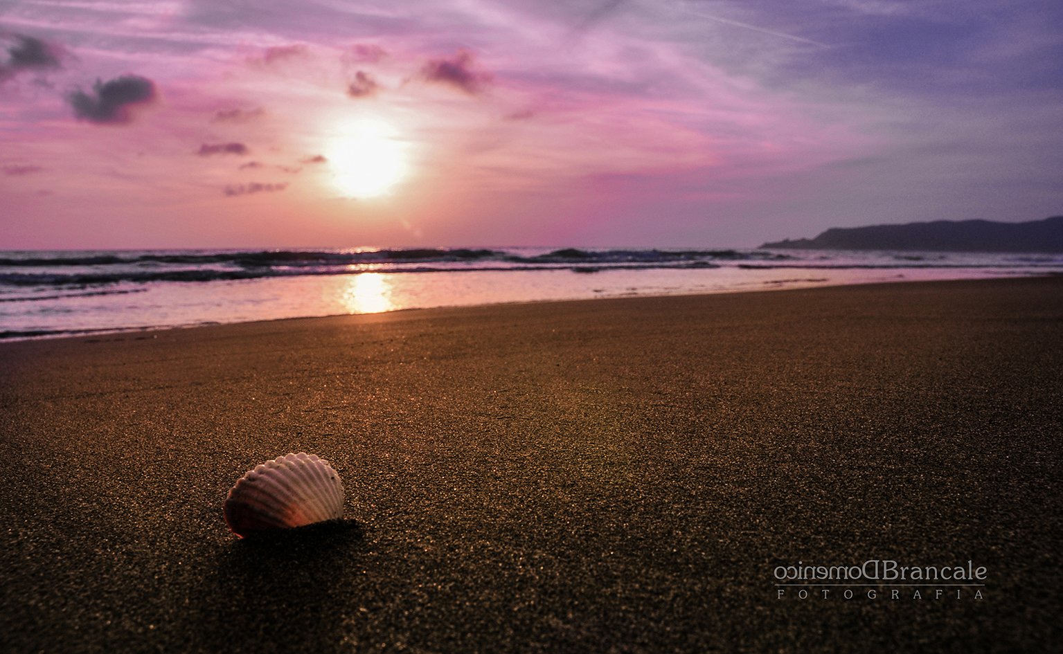 the sea and the shell