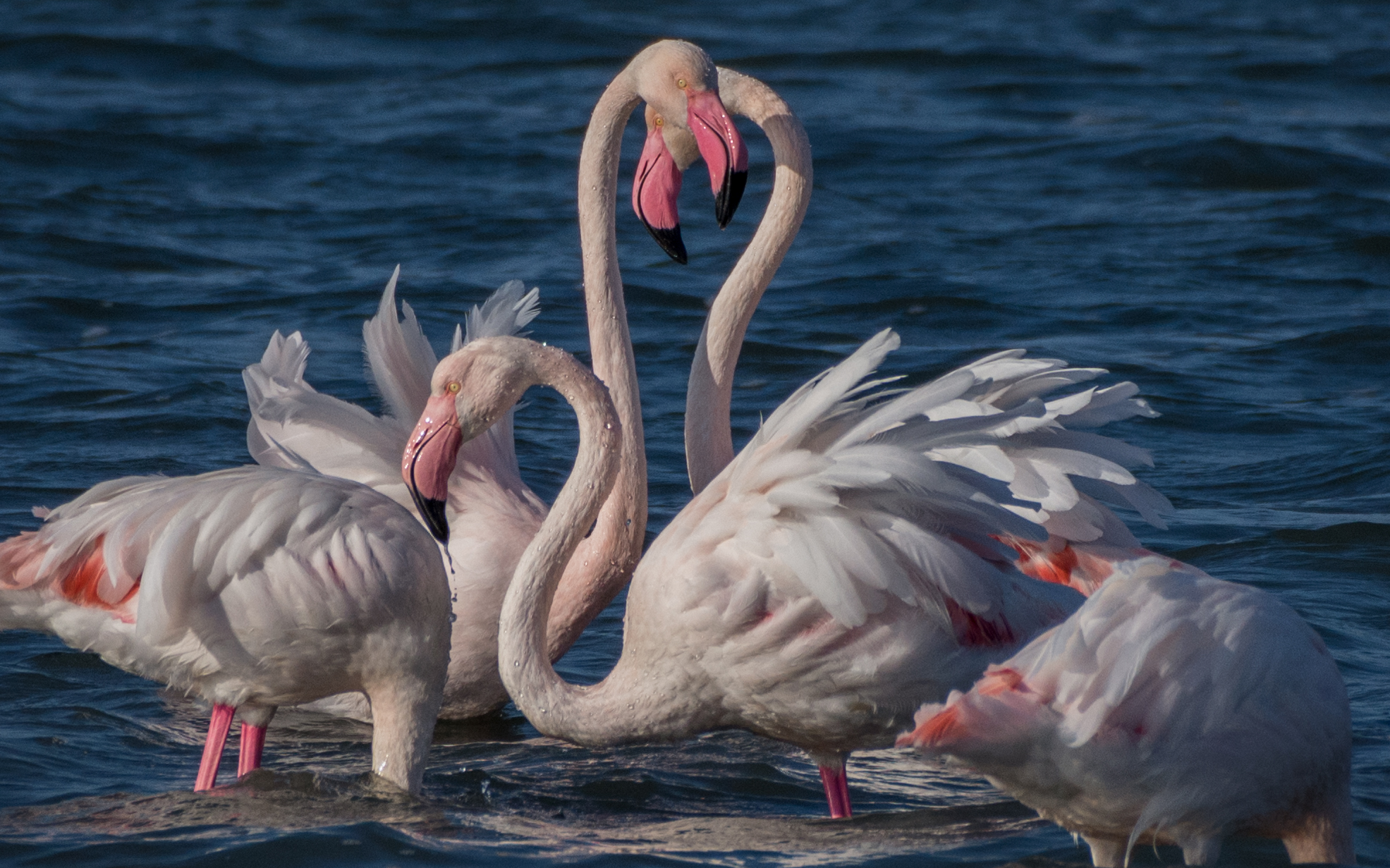 interweaving of hills