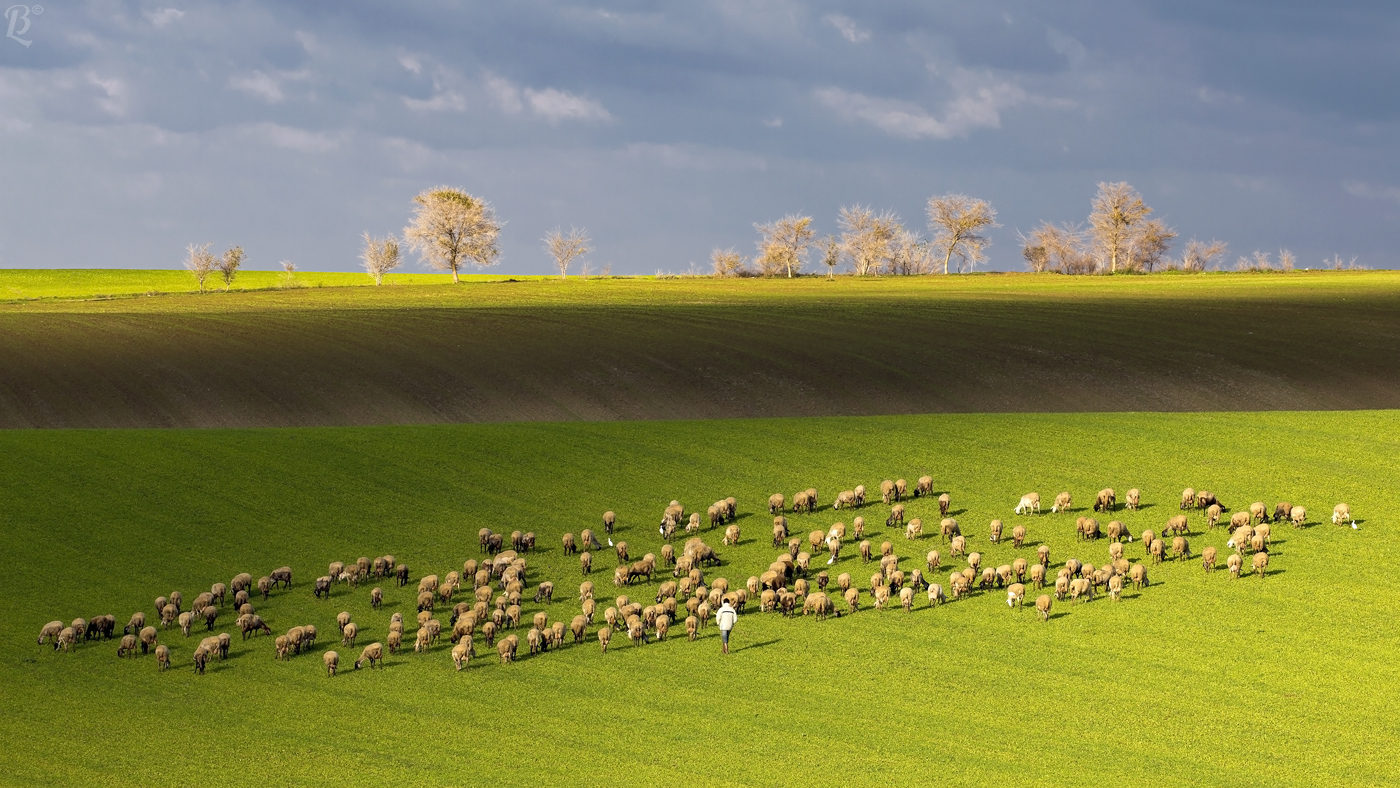 Lights and shadows on the earth