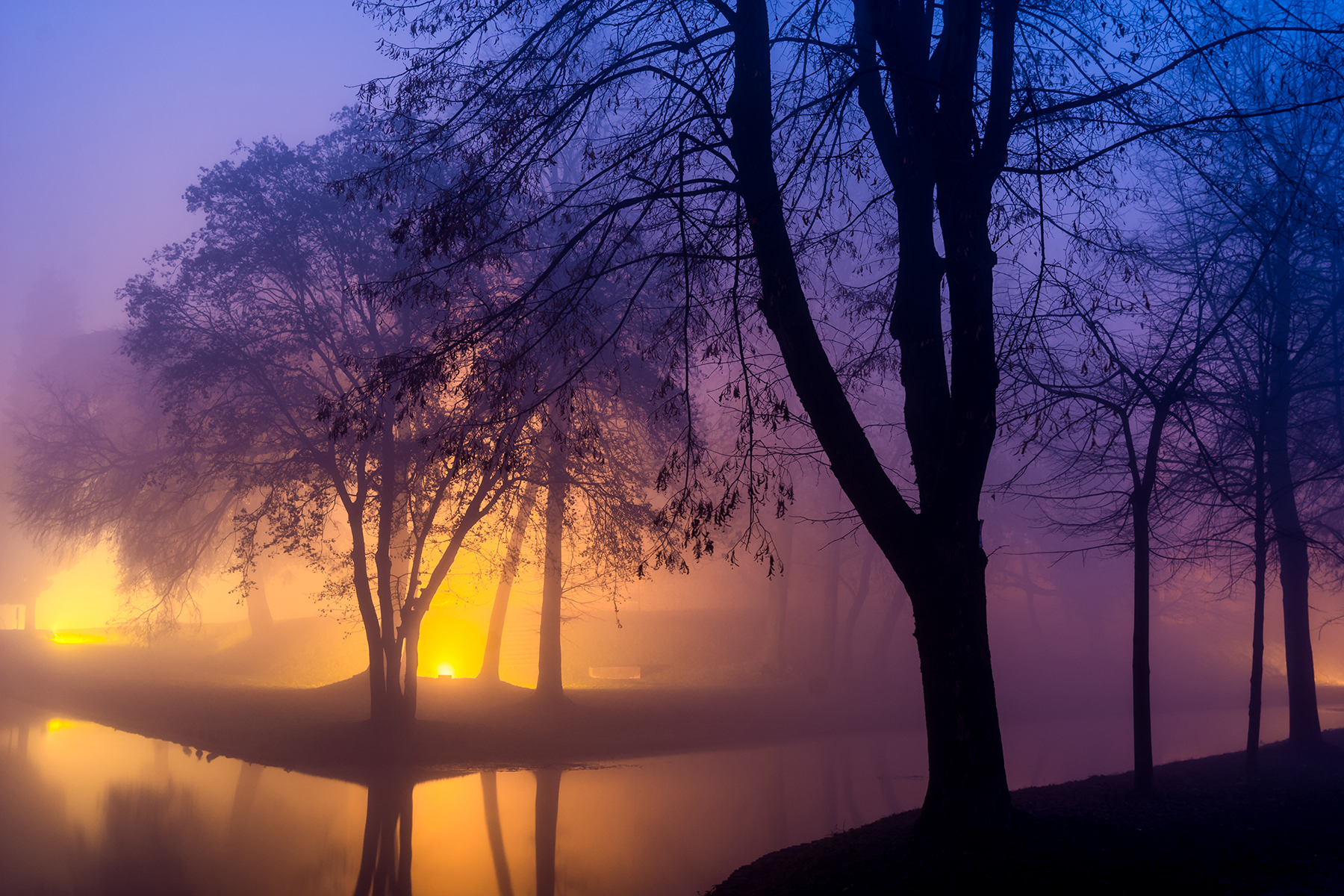 Colors of the evening at the park