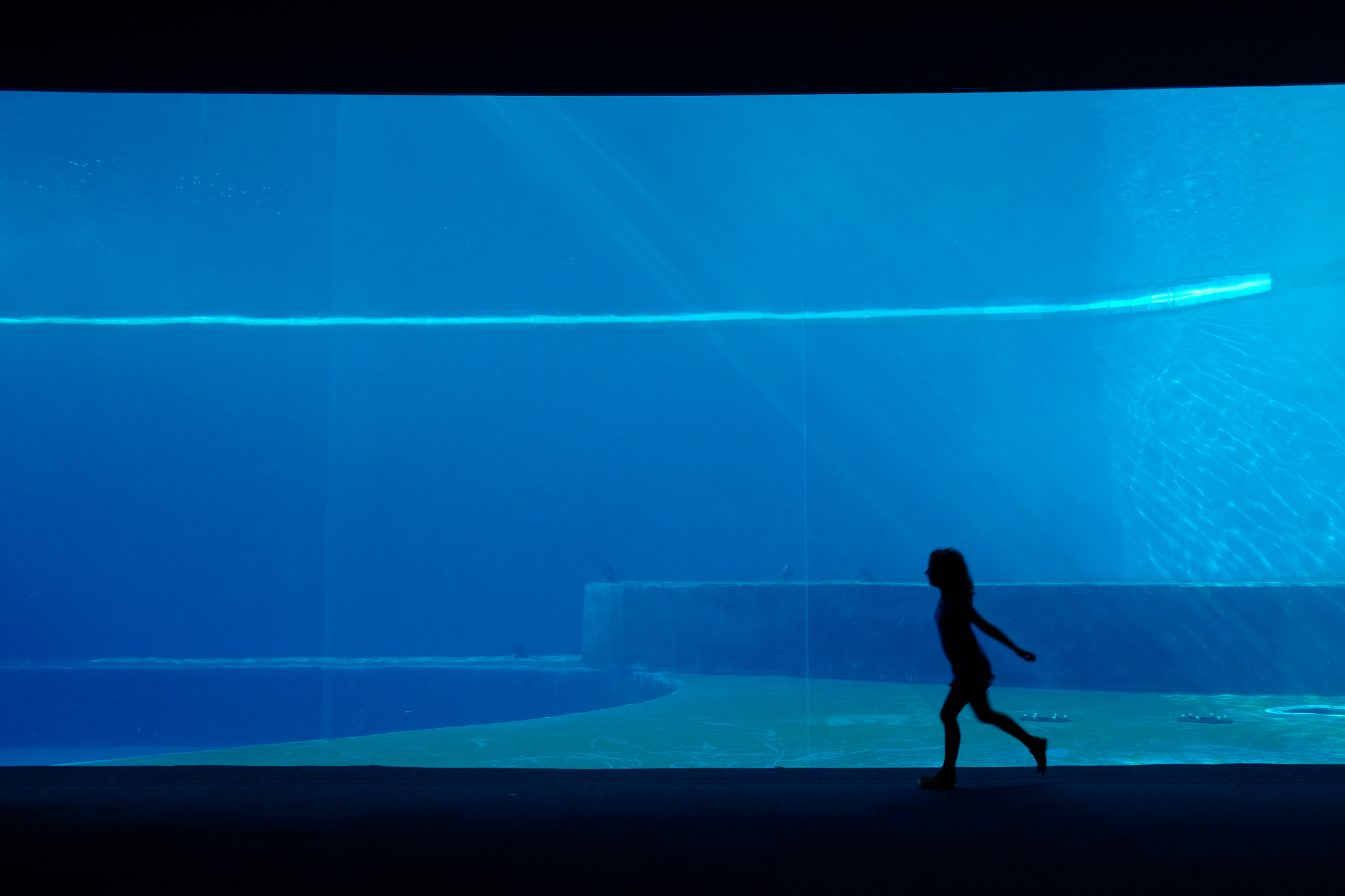 Arianna at the aquarium