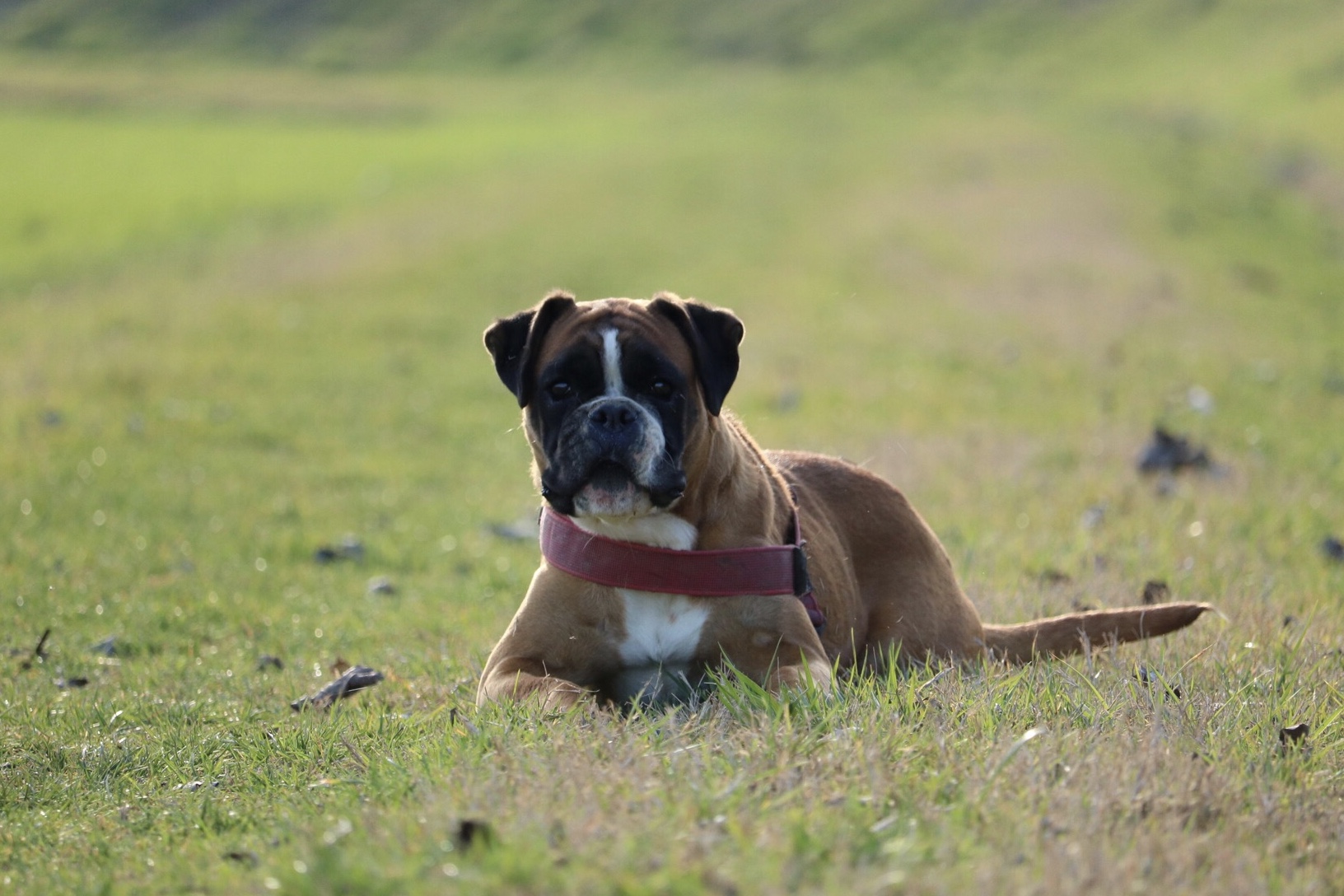 Calma prima della tempesta