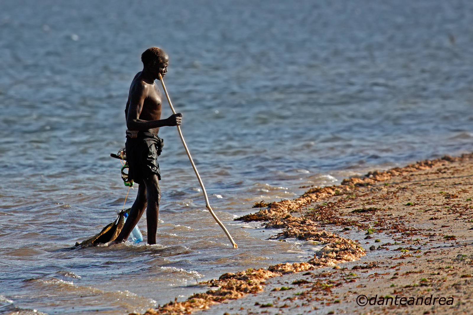 Pescatore di polipi