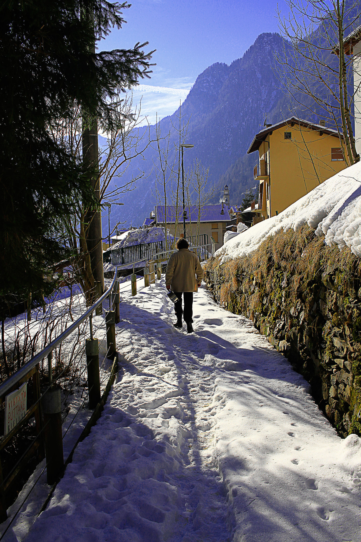 returning from the henhouse