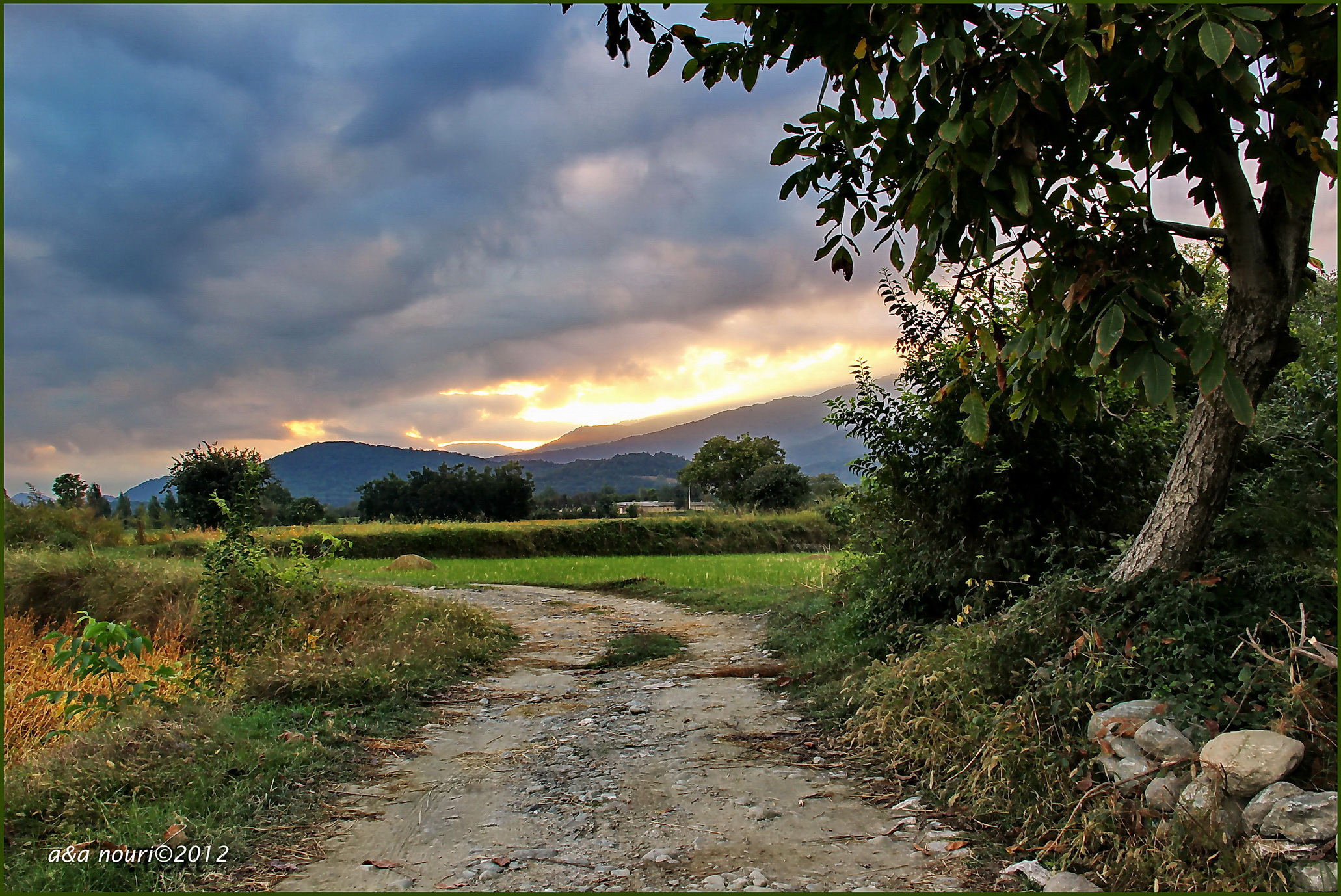first rays of sunrise