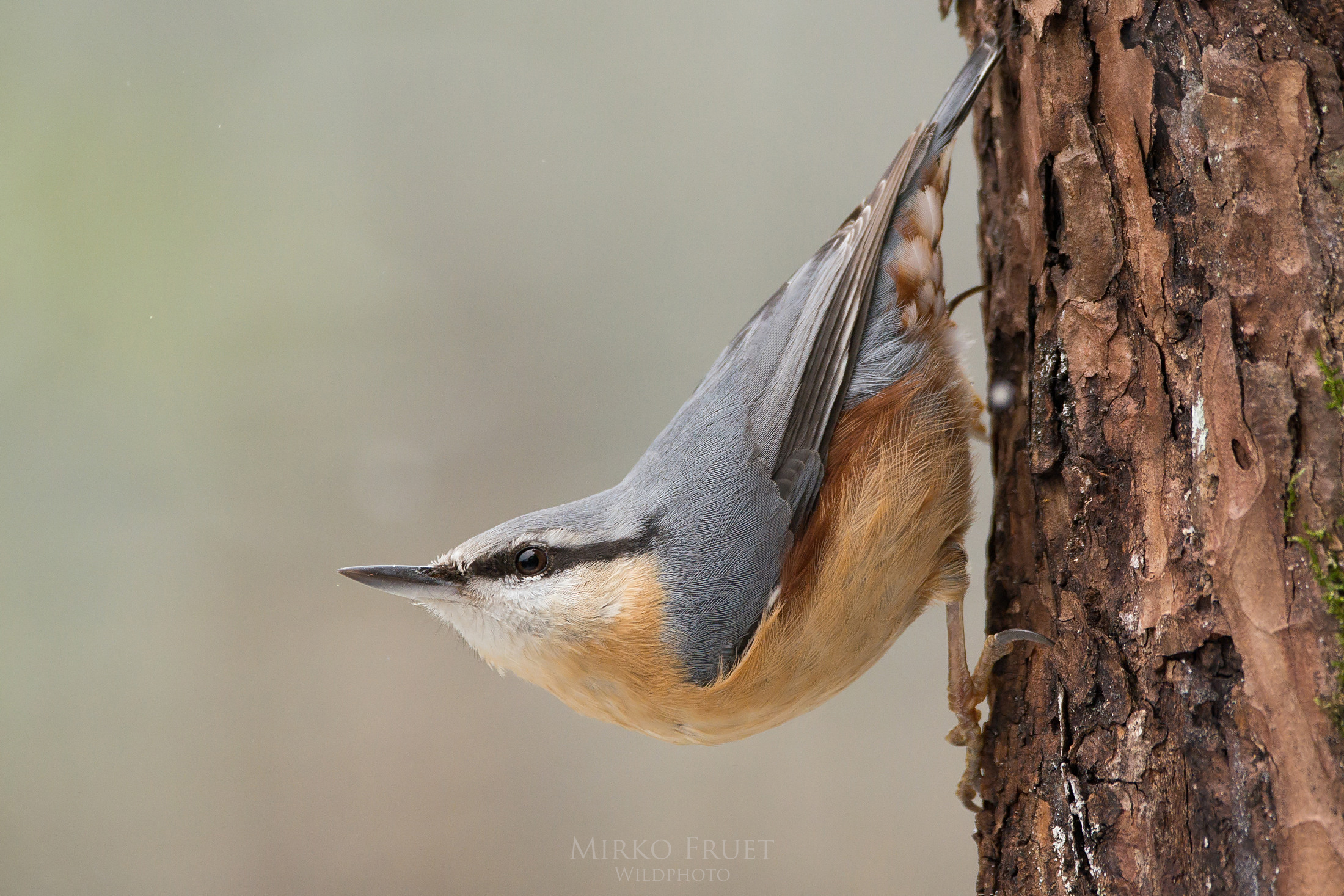 La classica posa del muratore