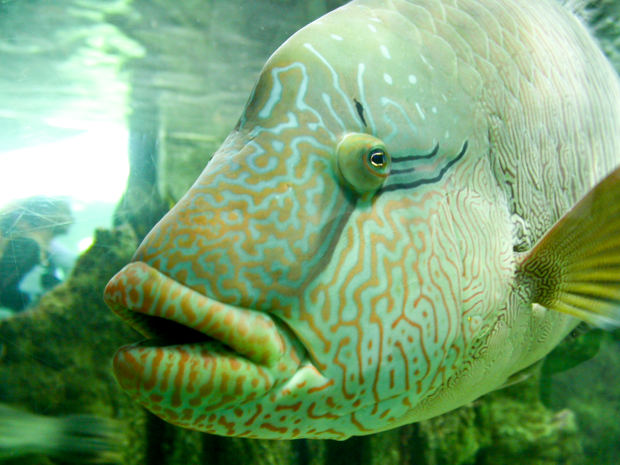 Acquario di Genova