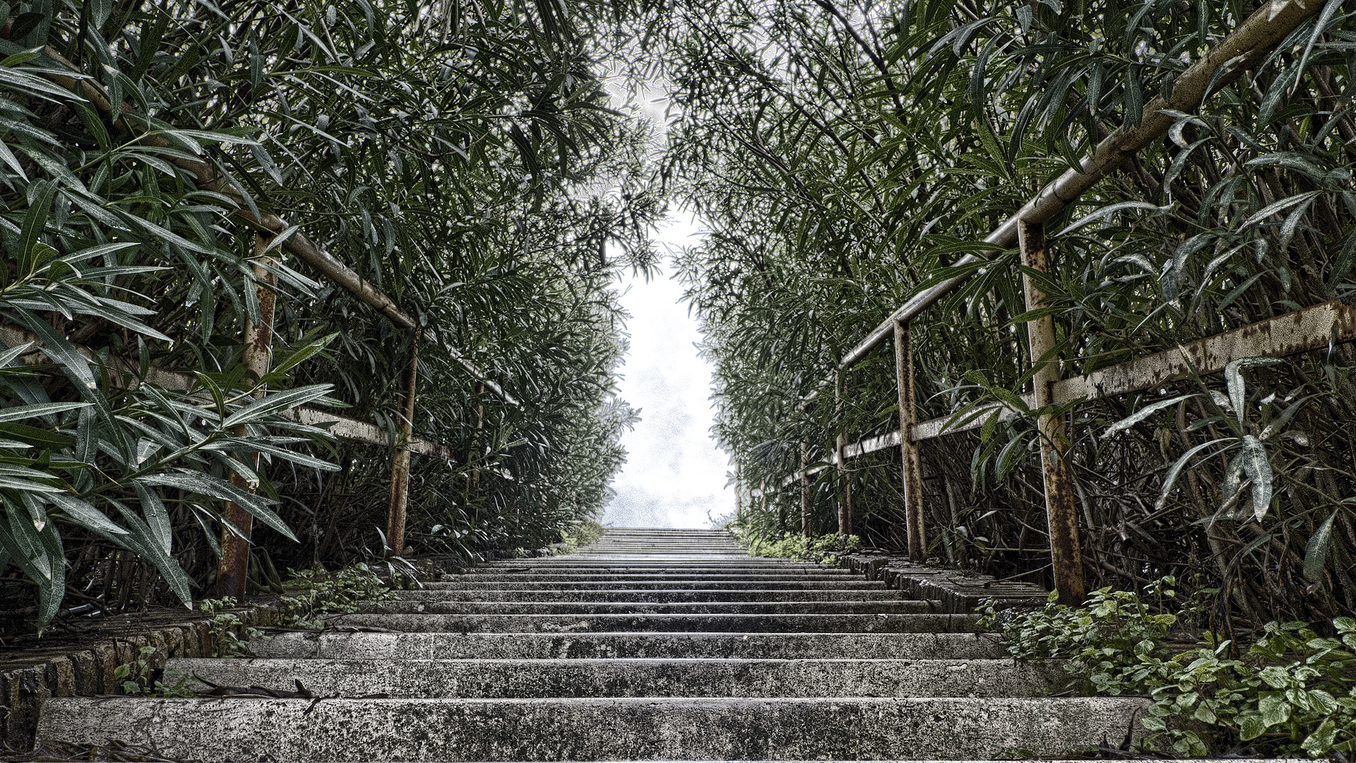 Scalinata abbandonata