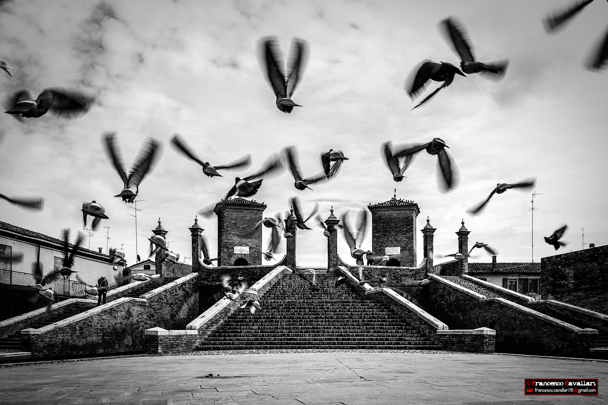 Hitchcock in Comacchio