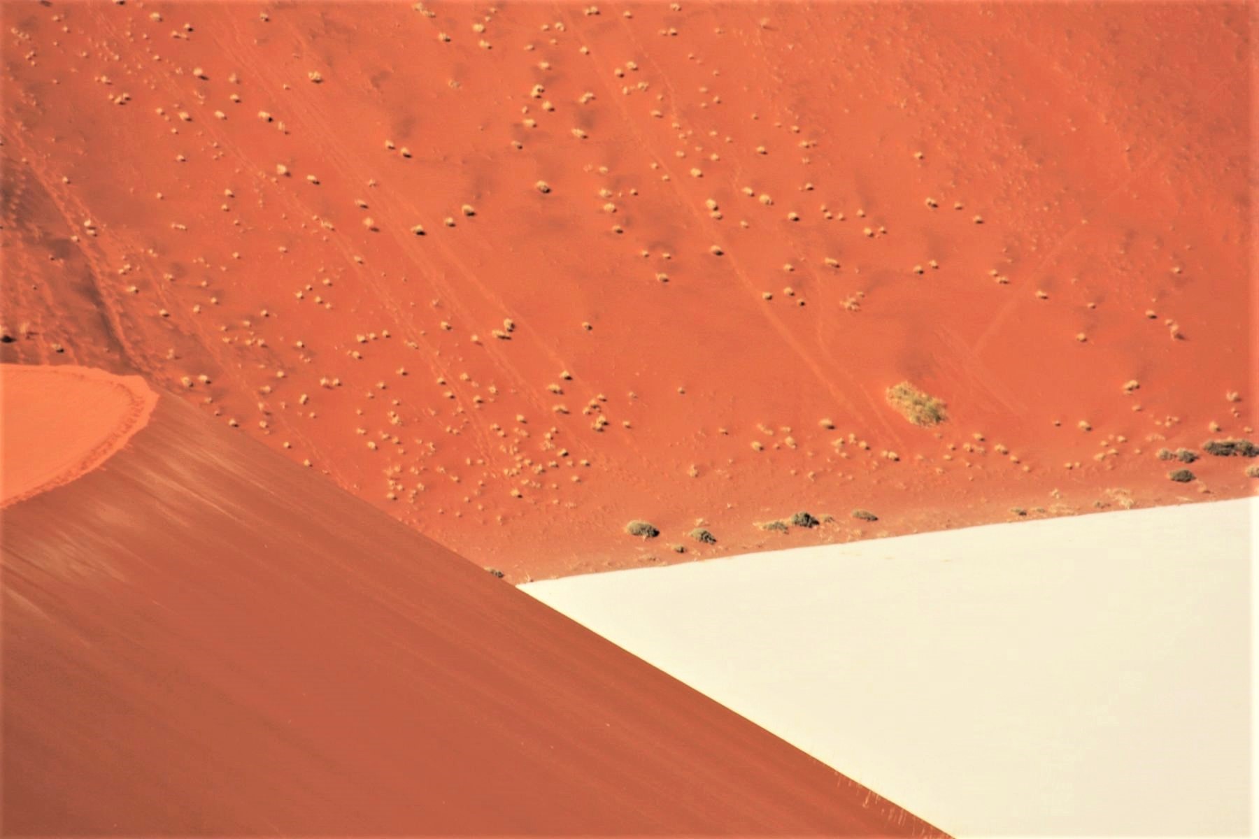 The colors of the desert