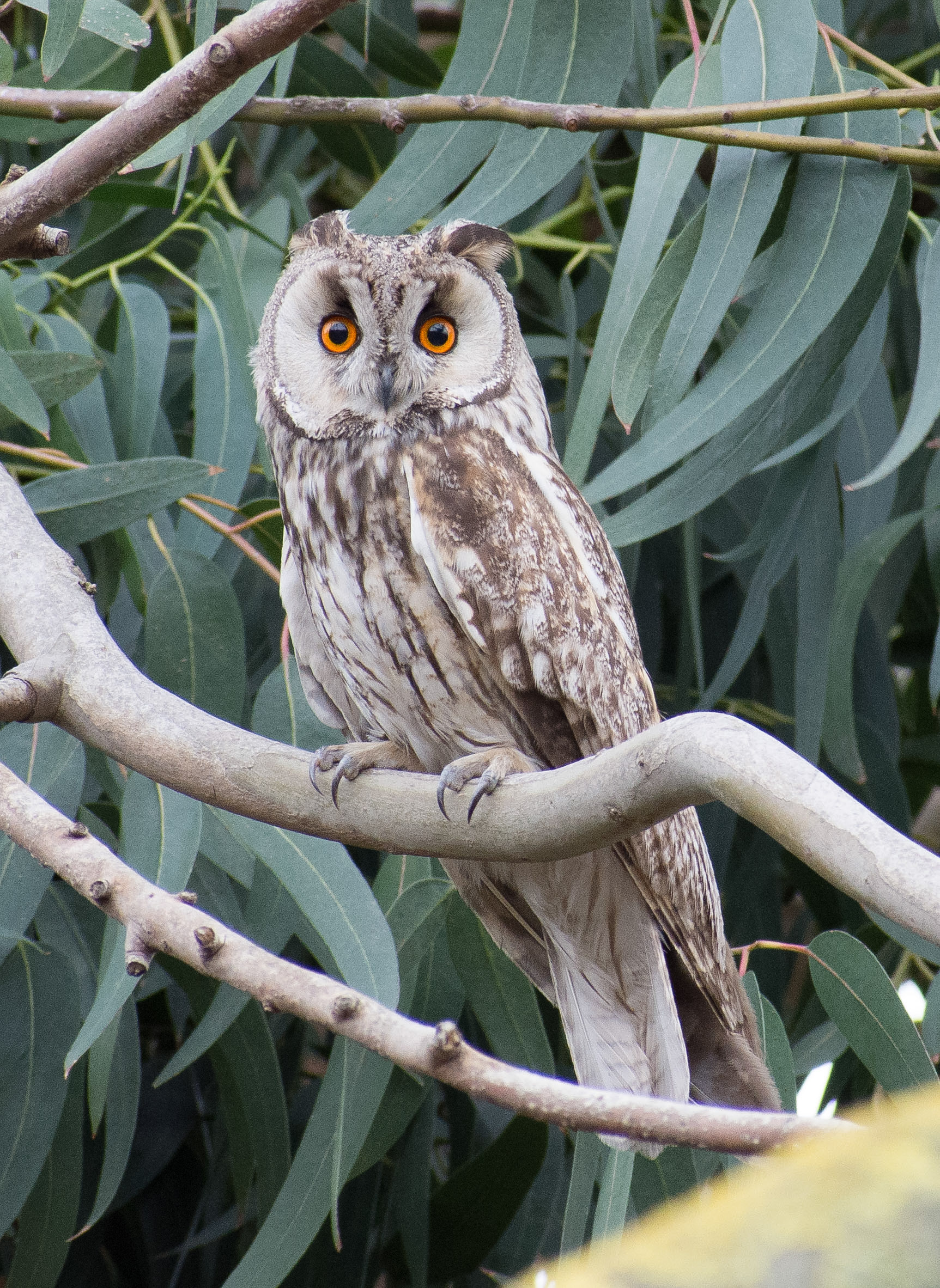 what are you doing looking at me?