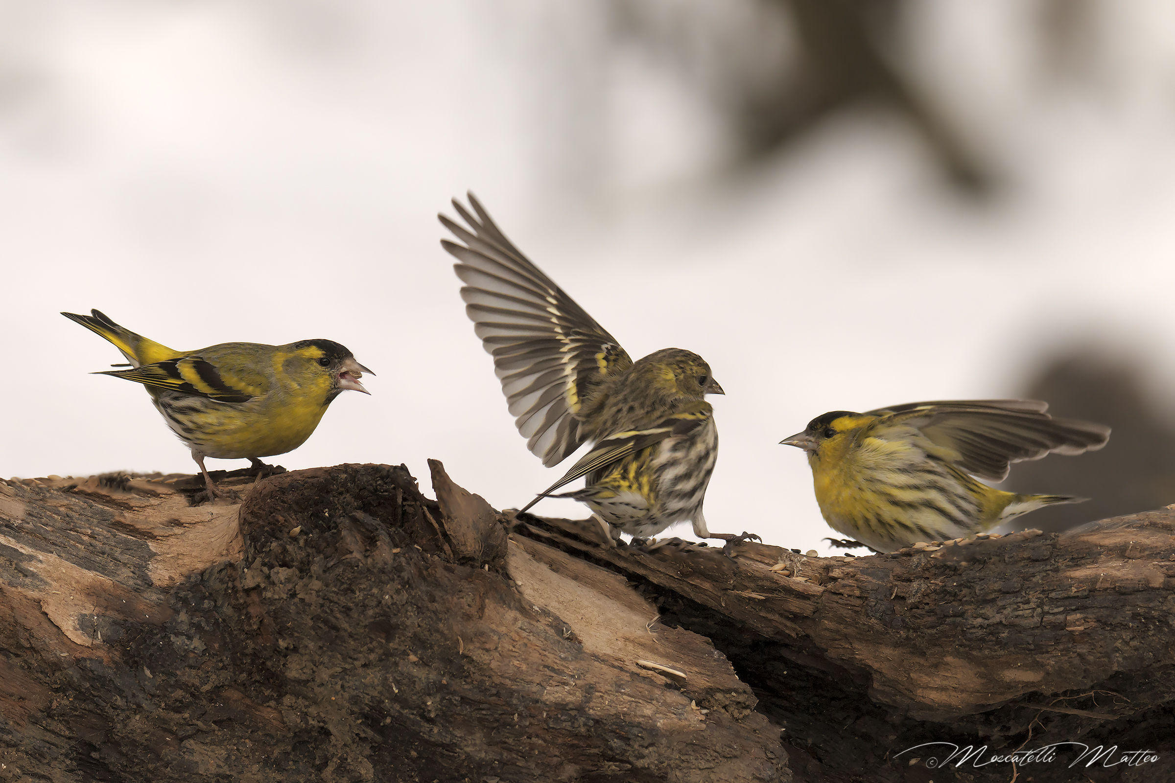 Between the two litigants ...