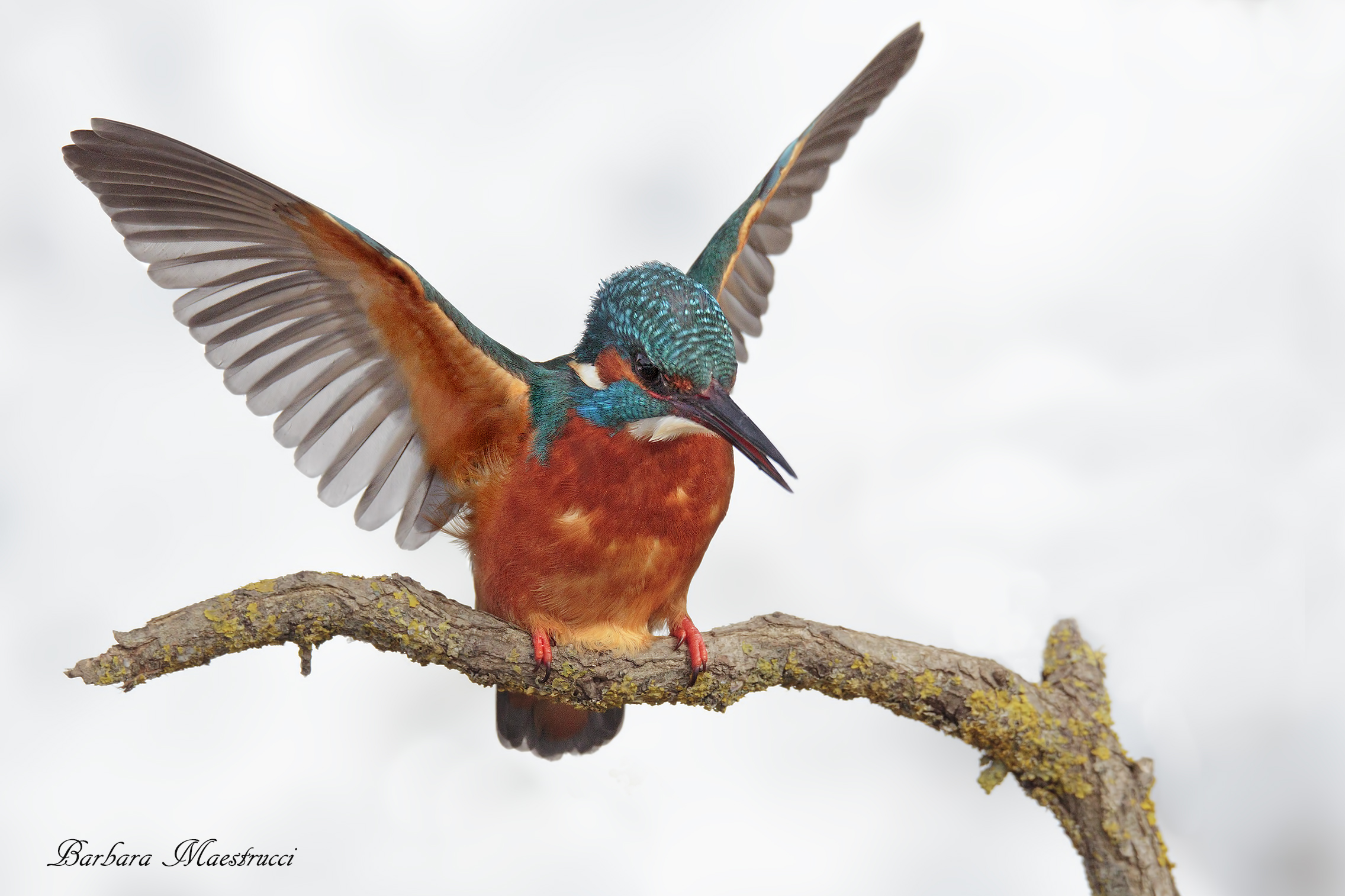 And then a bit 'of snow .. and everything changes.