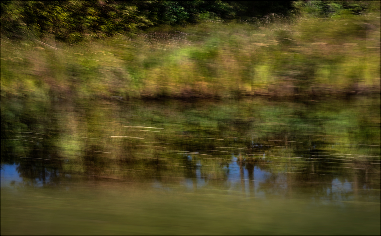 tu chiamale se vuoi...emozioni