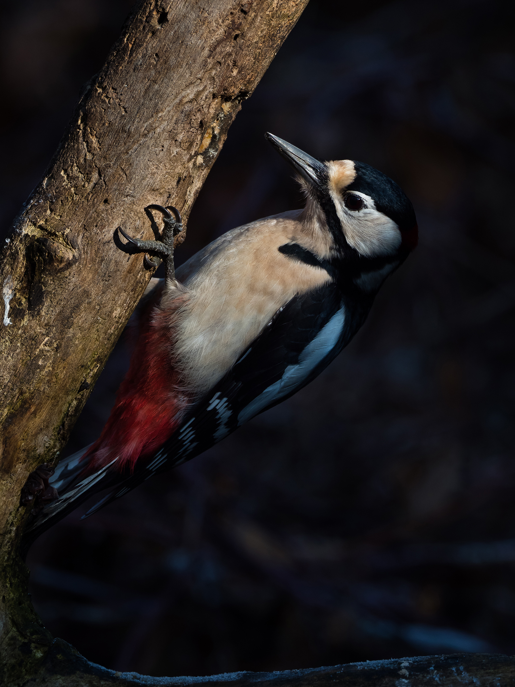 Between light and shadow.