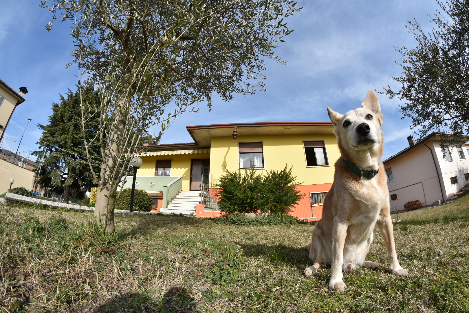 primi scatti col samyang 8mm diaframma a 11 0 16