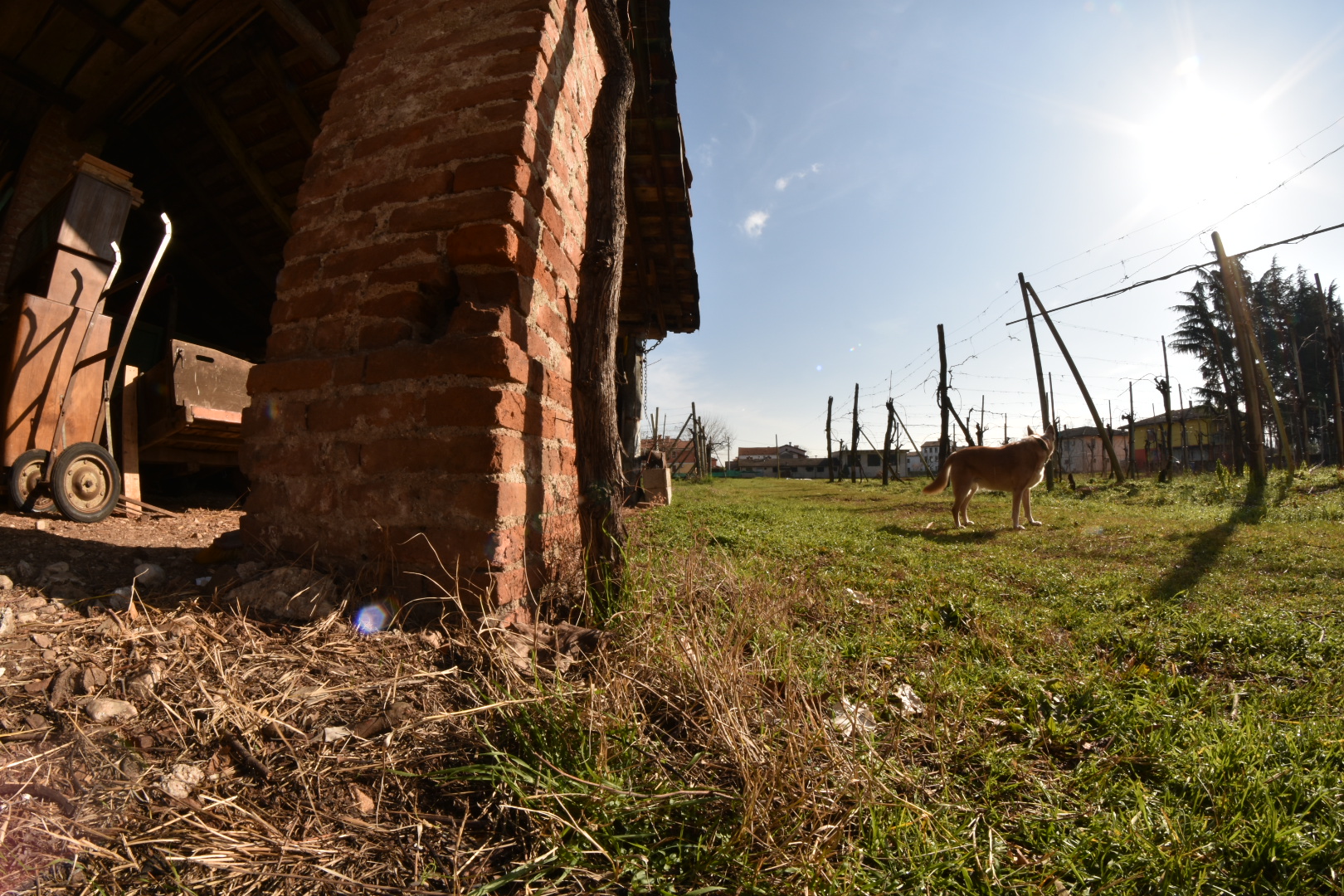 test obiettivo con giornata di sole