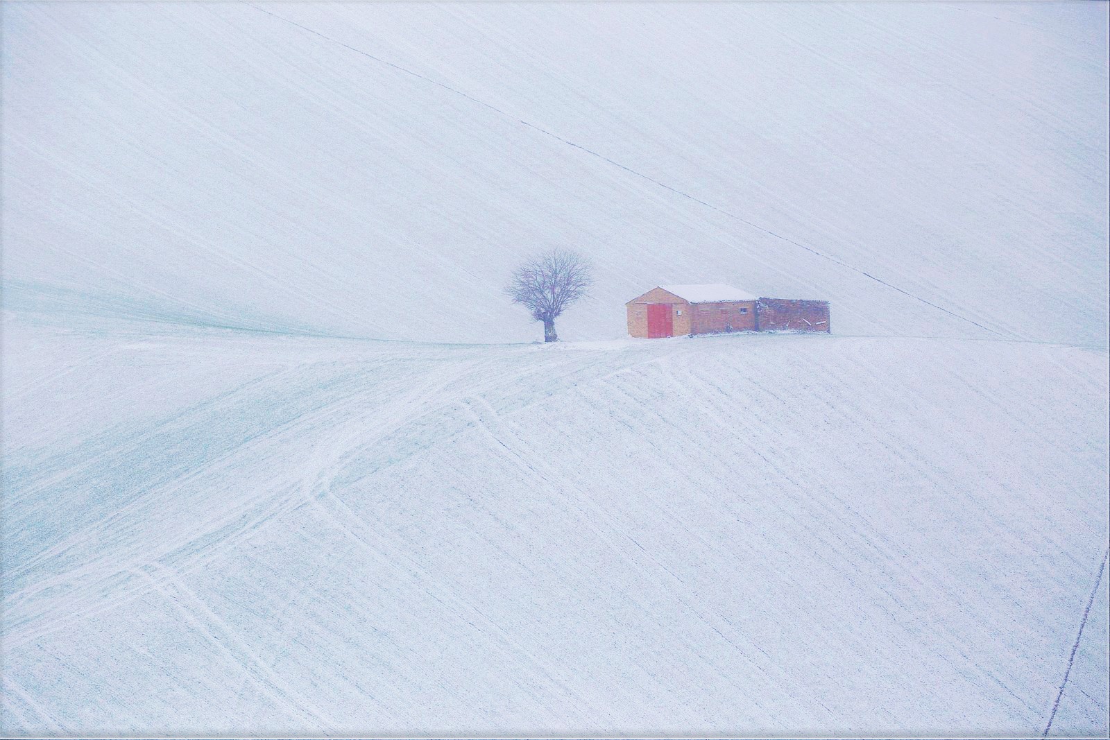 Under the snow bread