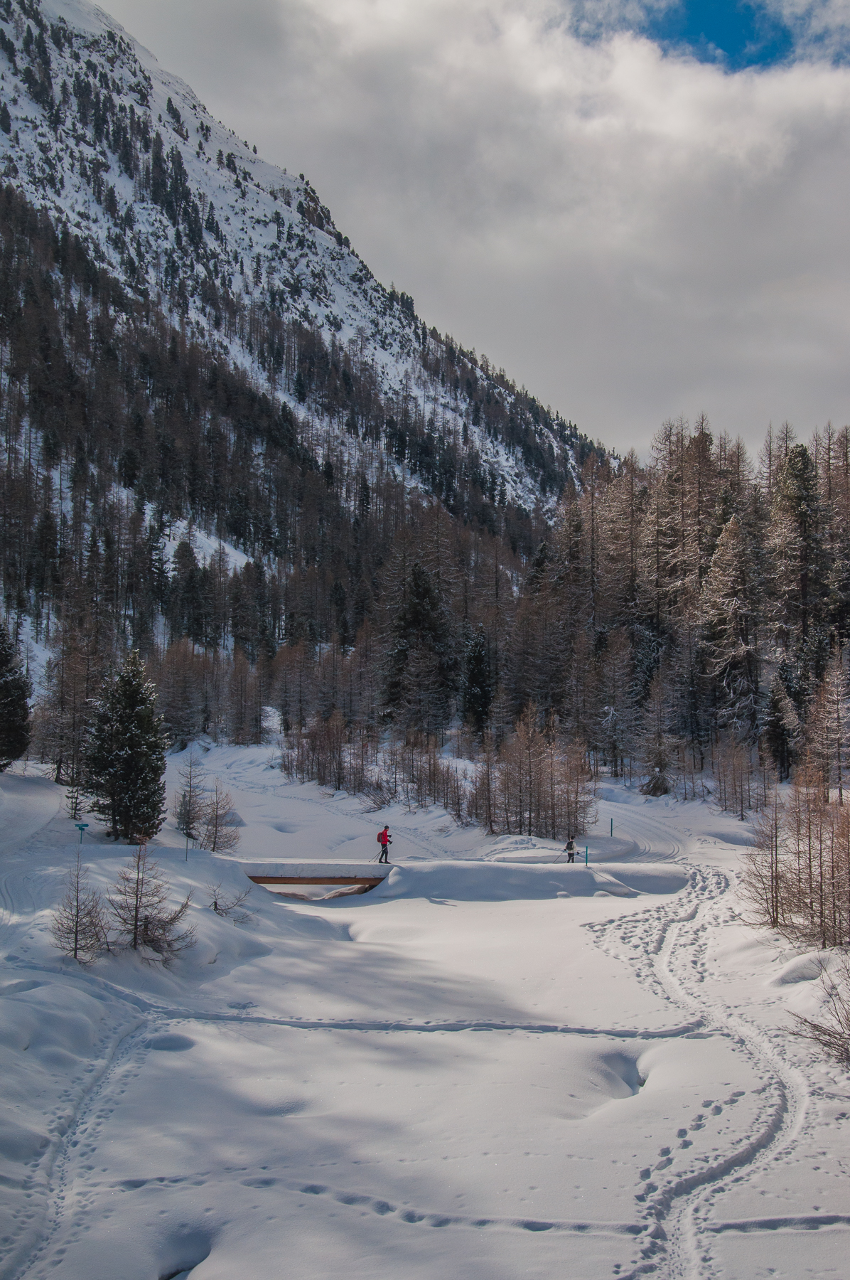 View from the red bernina train