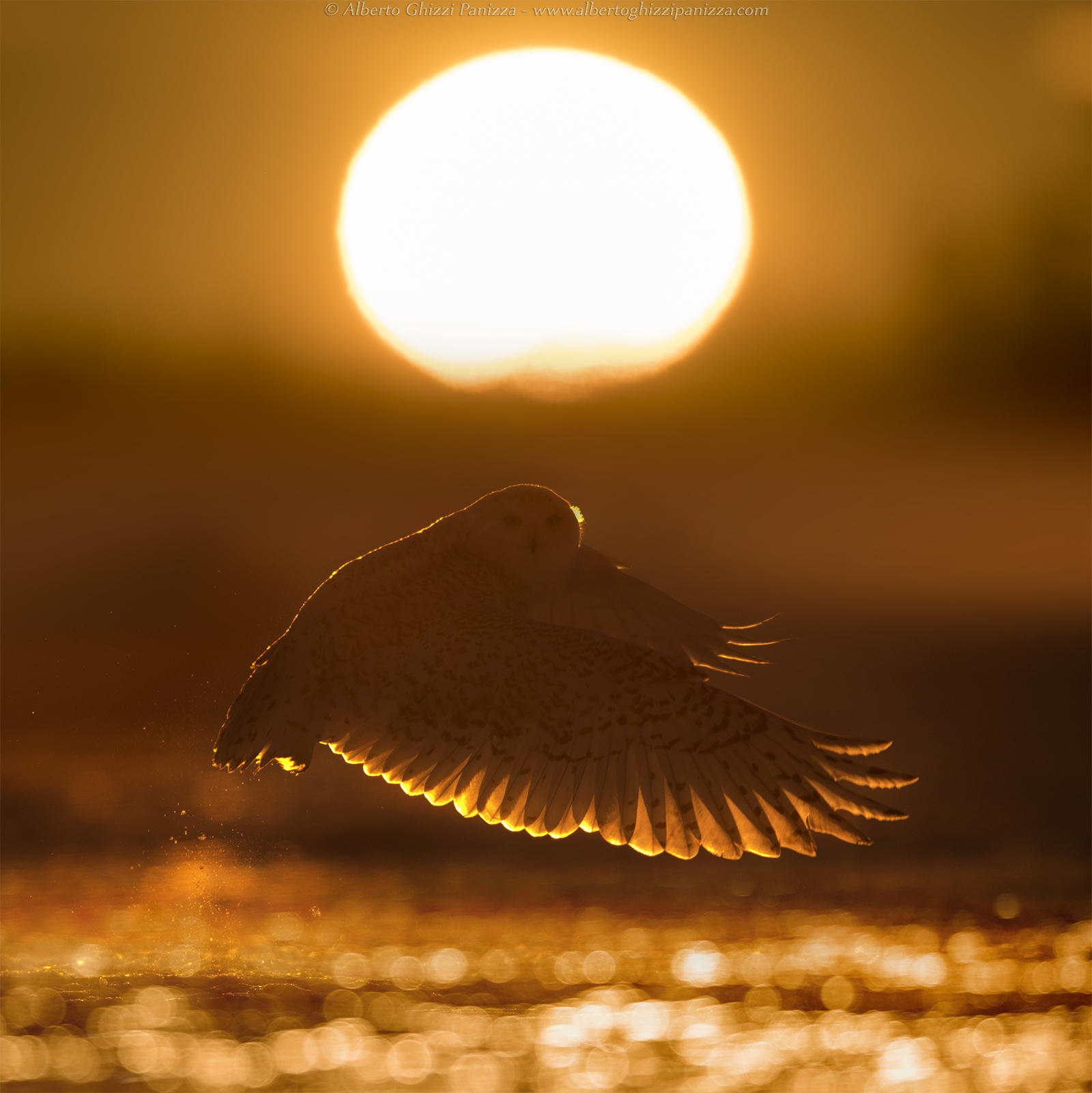 Pens painted by light
