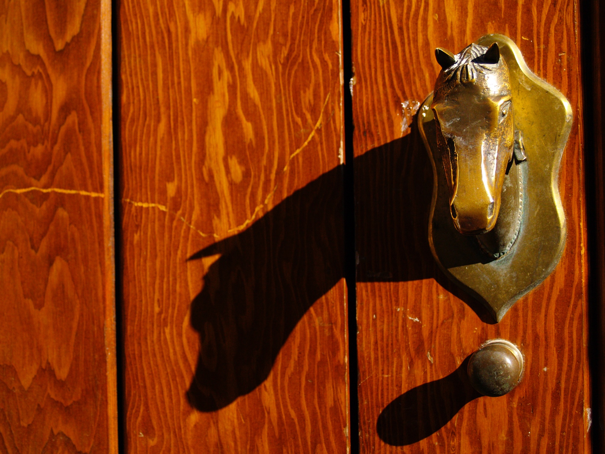 The shadow of a horse