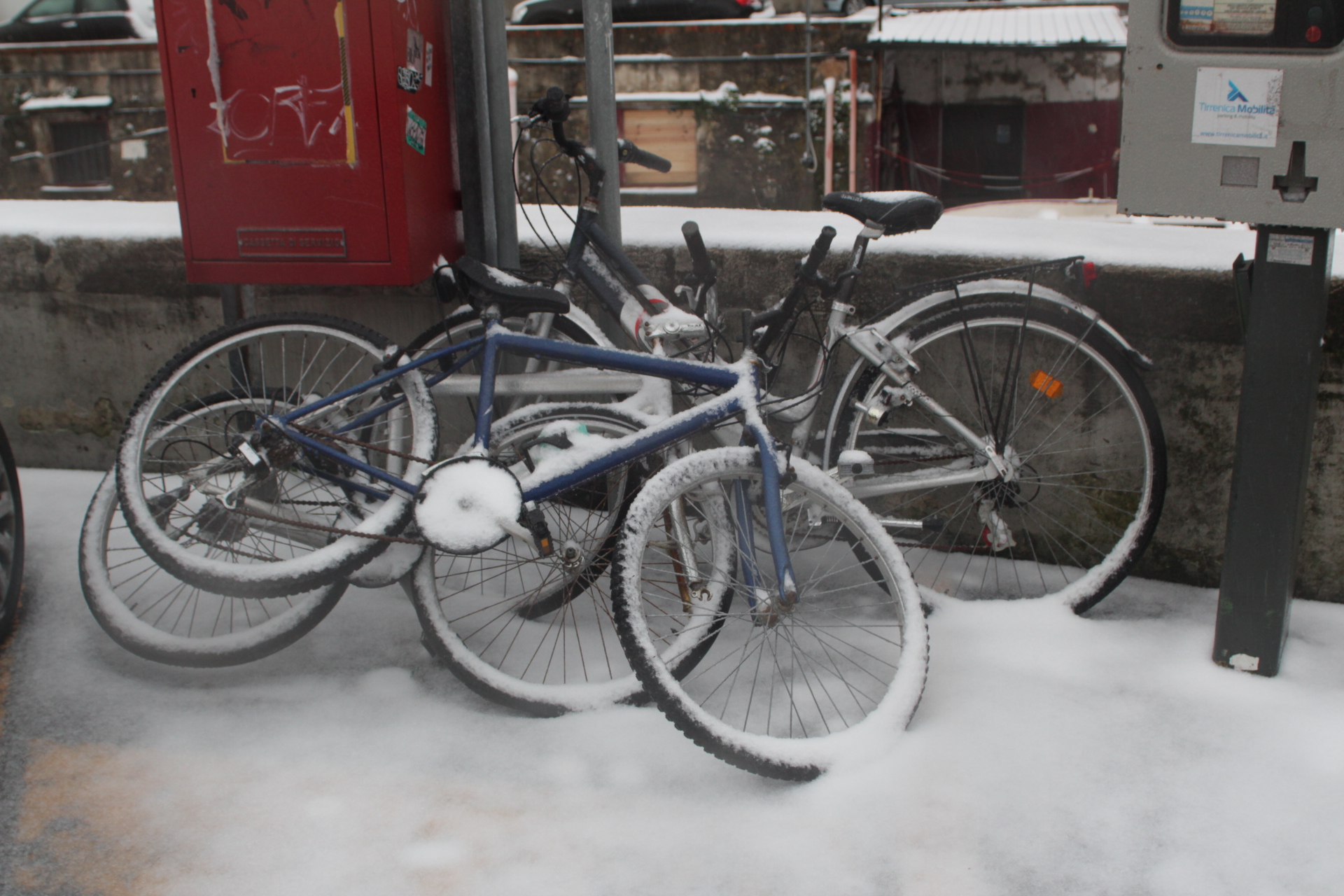 Biciclette congelate
