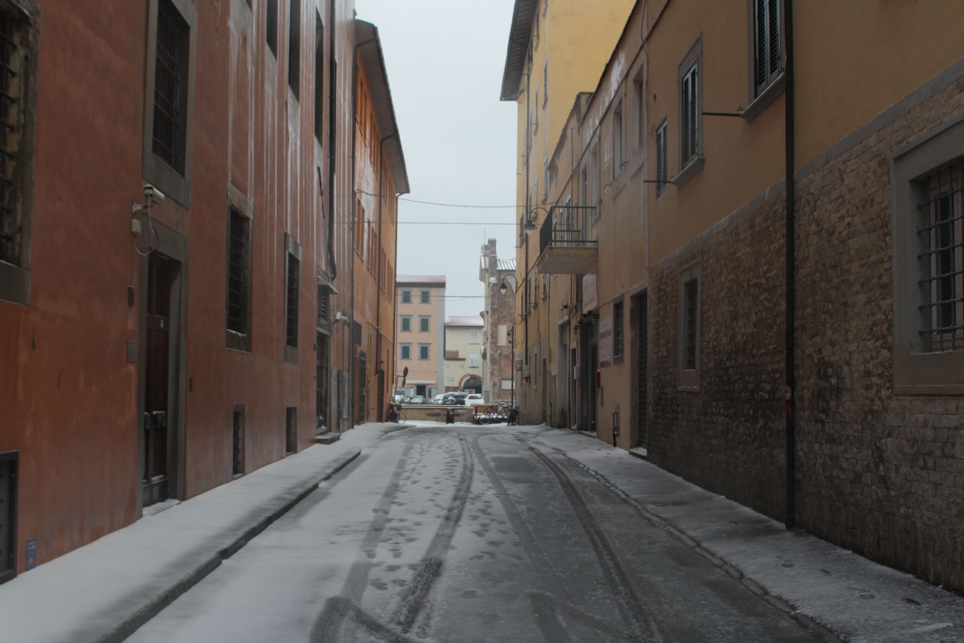 Via delle acciughe... Ghiacciate
