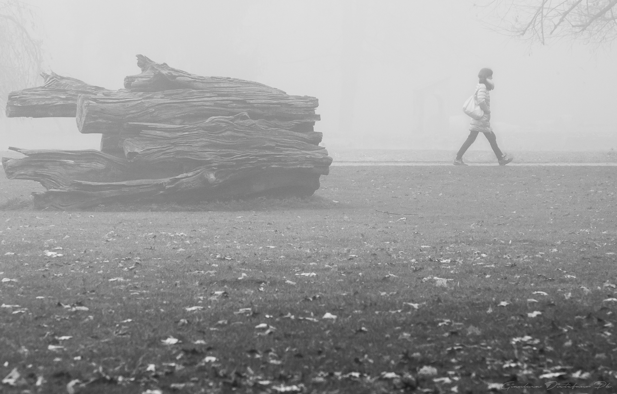 Passeggiando nella nebbia