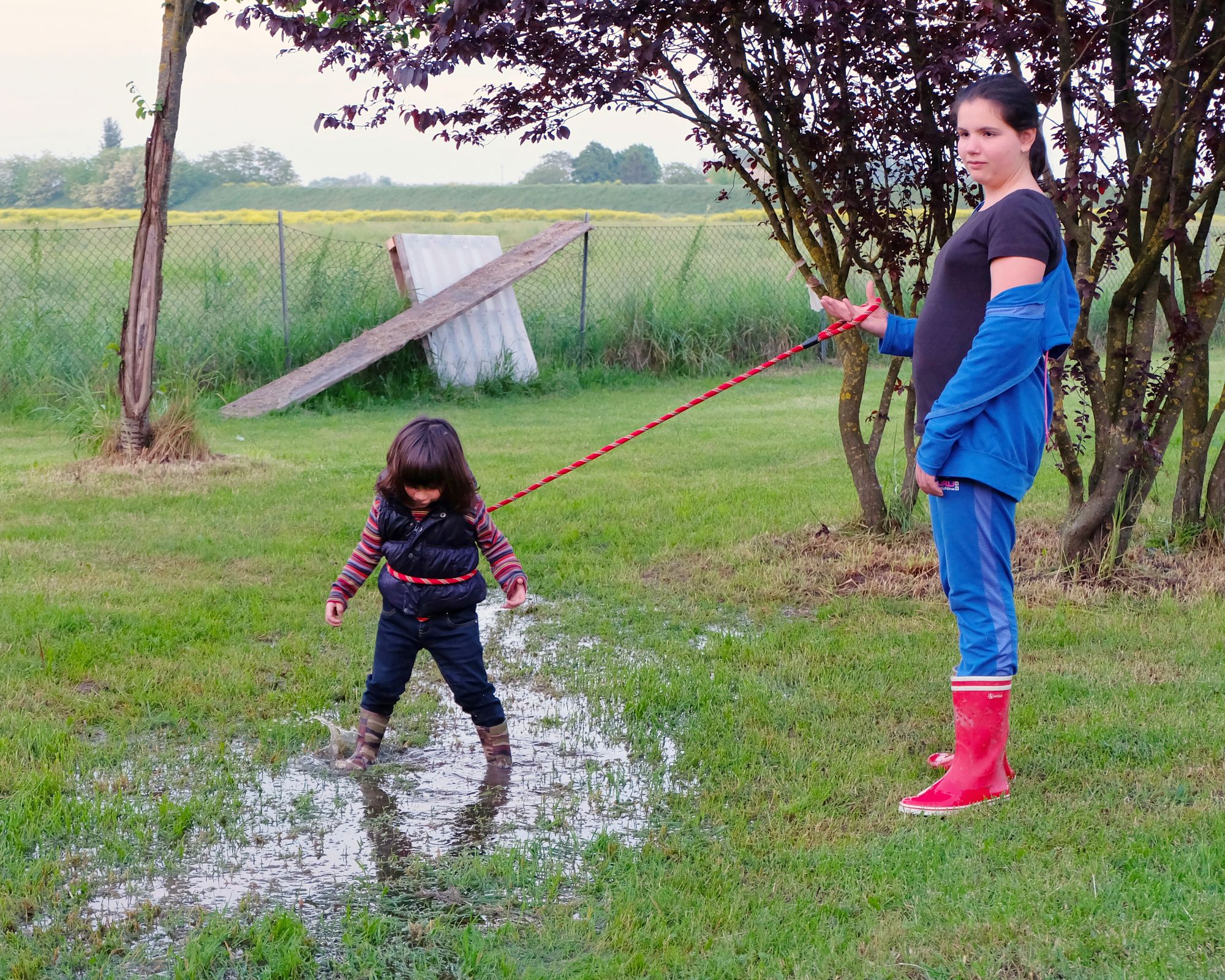 Prove di domesticazione 2